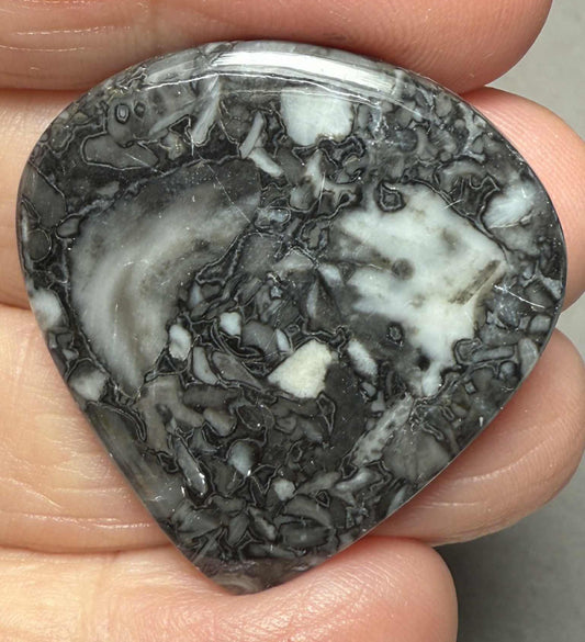 Teardrop 34x33mm Orthoceras Fossil Cabochon 30
