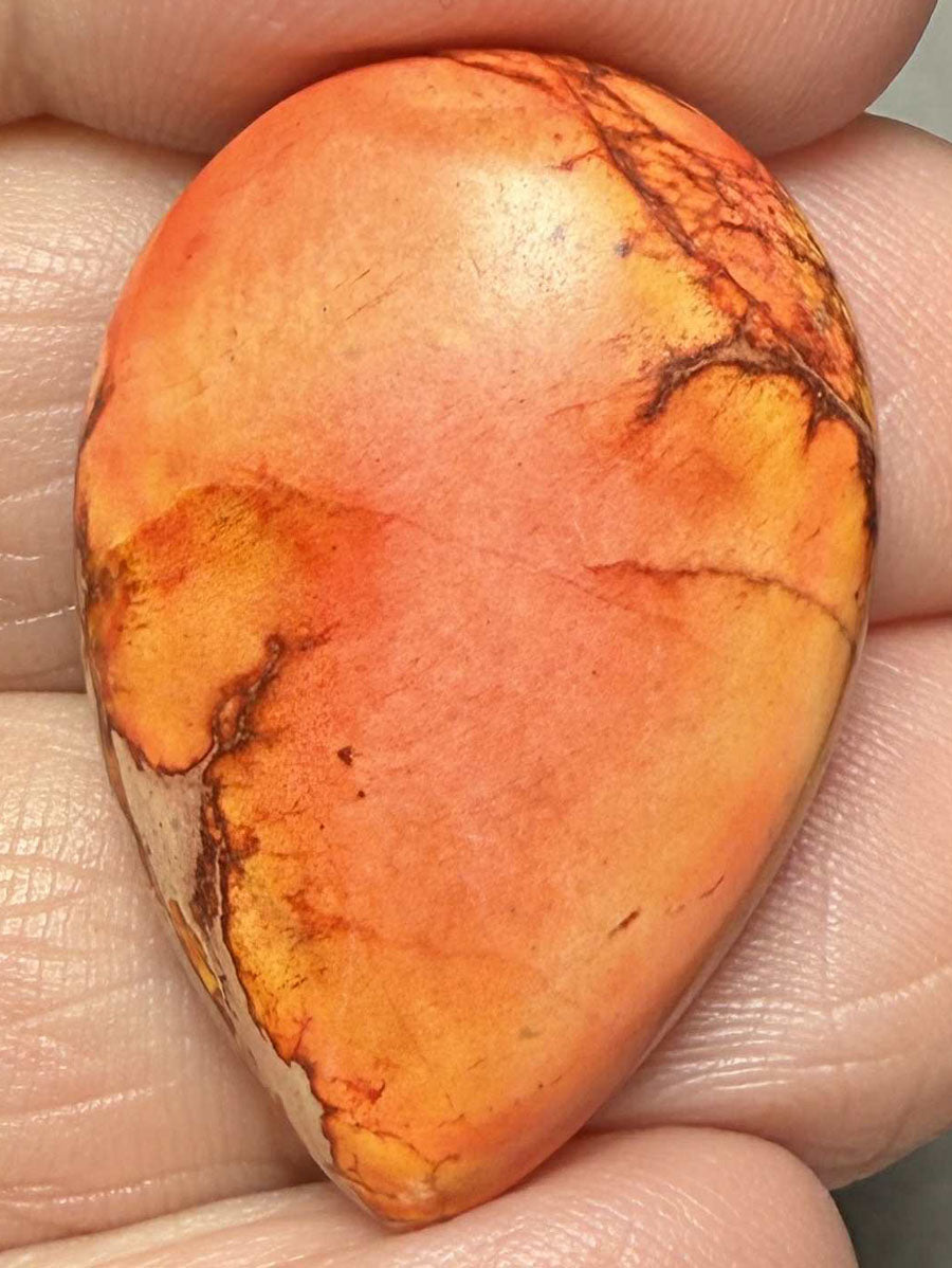 Teardrop 30x20mm Sea Sediment Jasper Cabochon 48