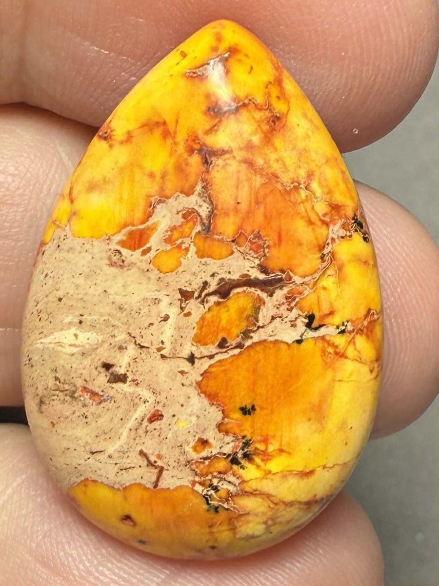 Teardrop 30x20mm Sea Sediment Jasper Cabochon 61