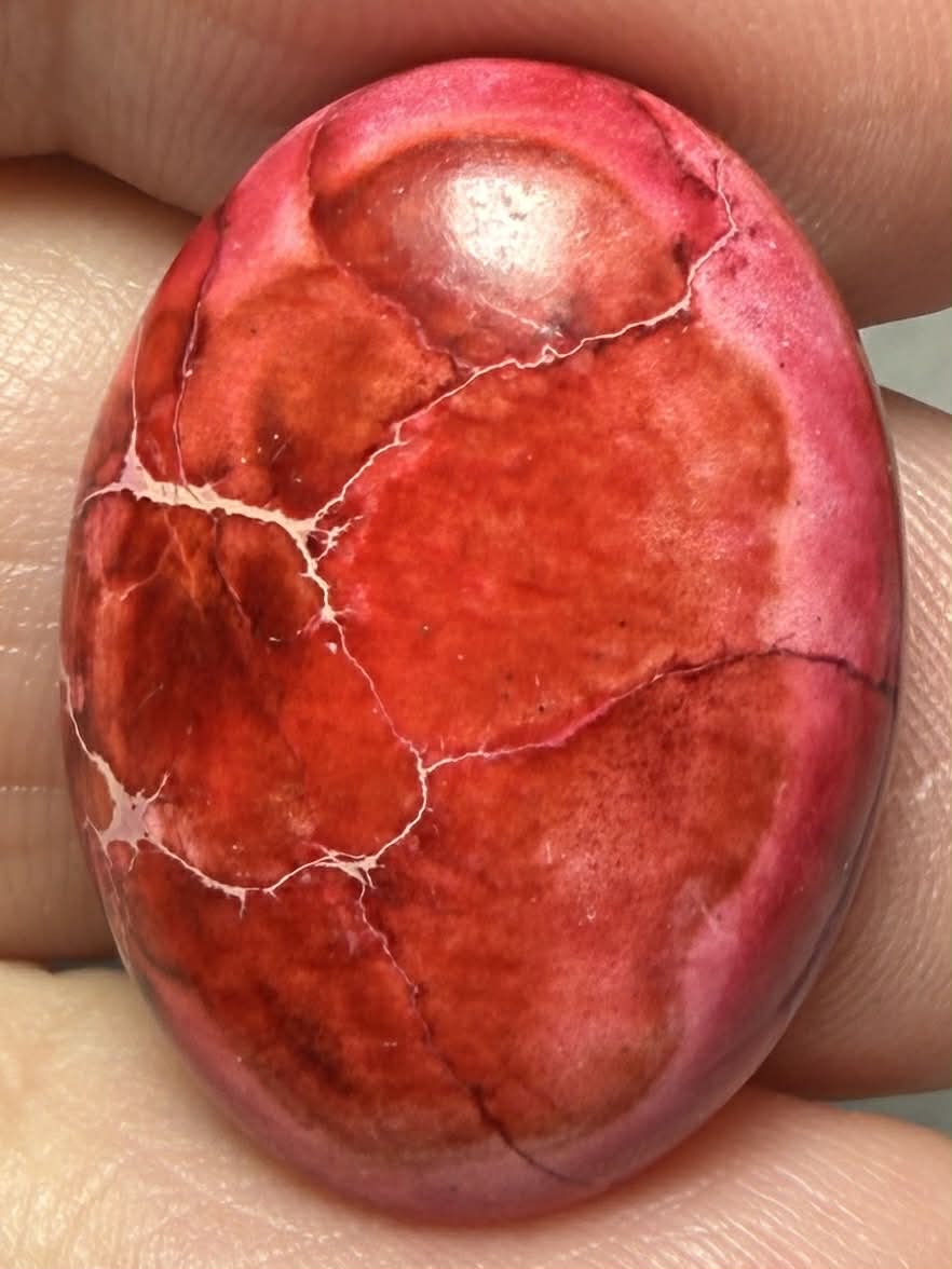 Oval 25x18mm Sea Sediment Jasper Cabochon 72