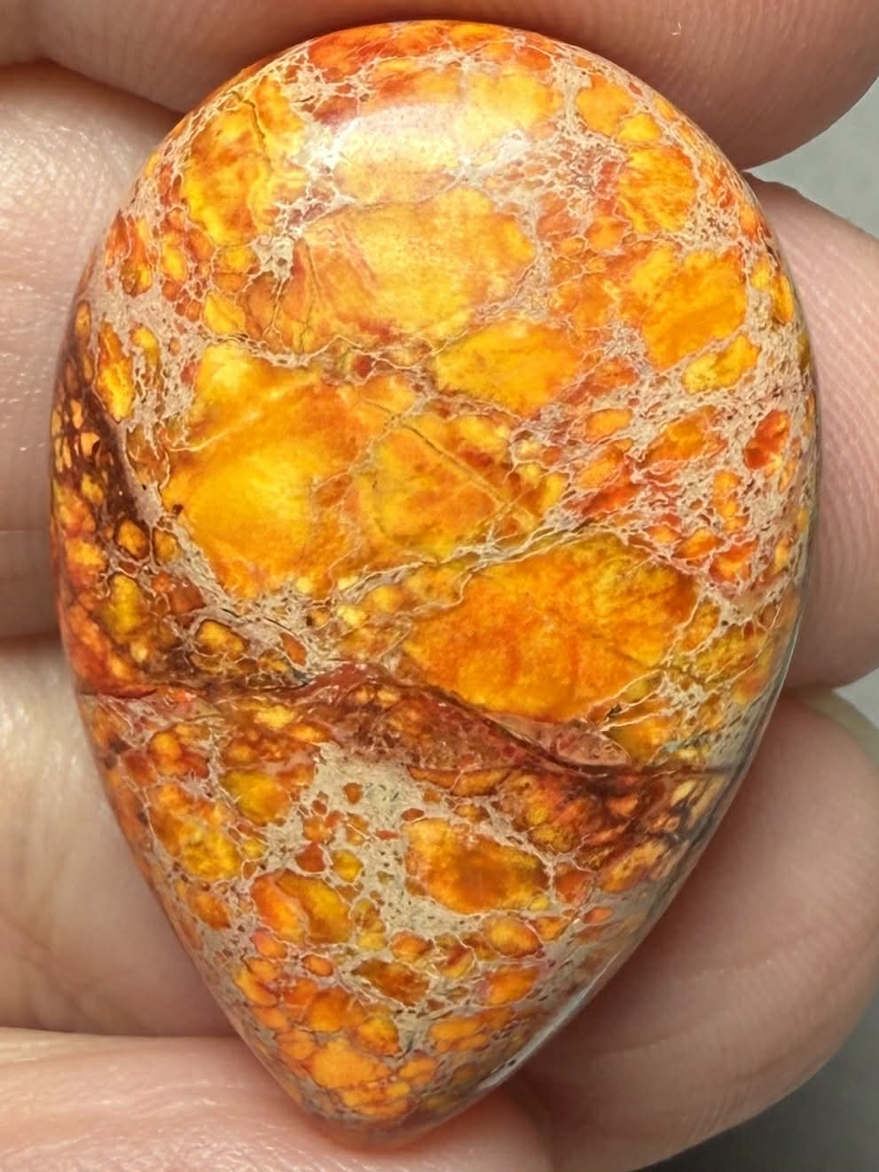 Teardrop 30x20mm Sea Sediment Jasper Cabochon 83