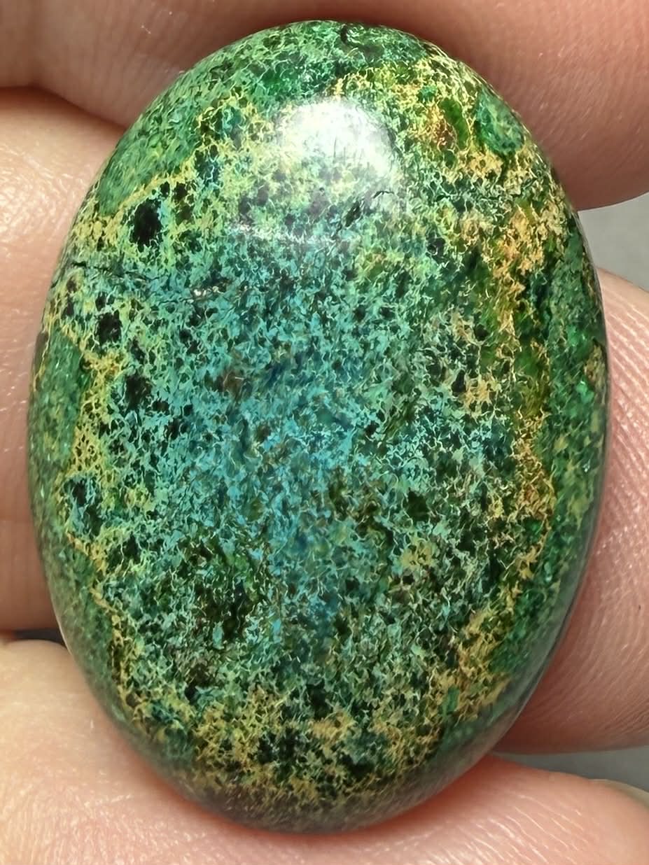 Oval 25x18mm Sea Sediment Jasper Cabochon 86