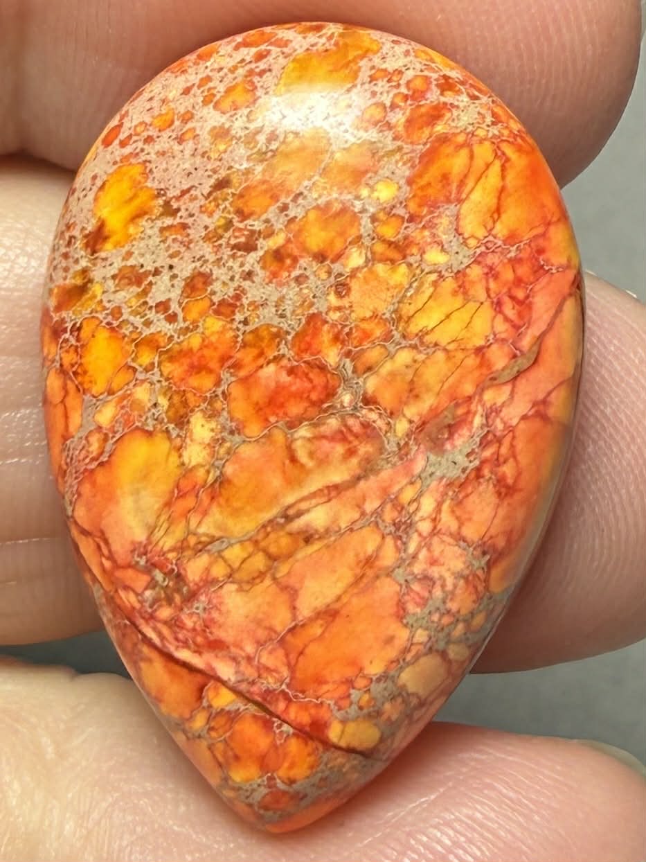 Teardrop 30x20mm Sea Sediment Jasper Cabochon 89