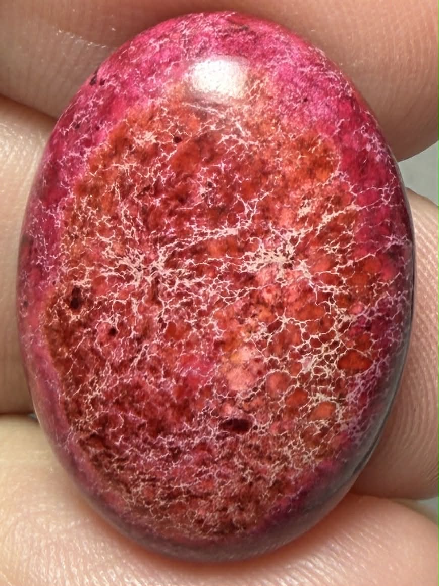 Oval 25x18mm Sea Sediment Jasper Cabochon 91