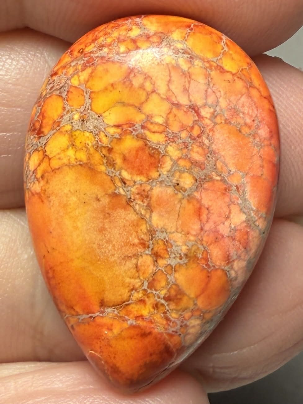 Teardrop 30x20mm Sea Sediment Jasper Cabochon 96