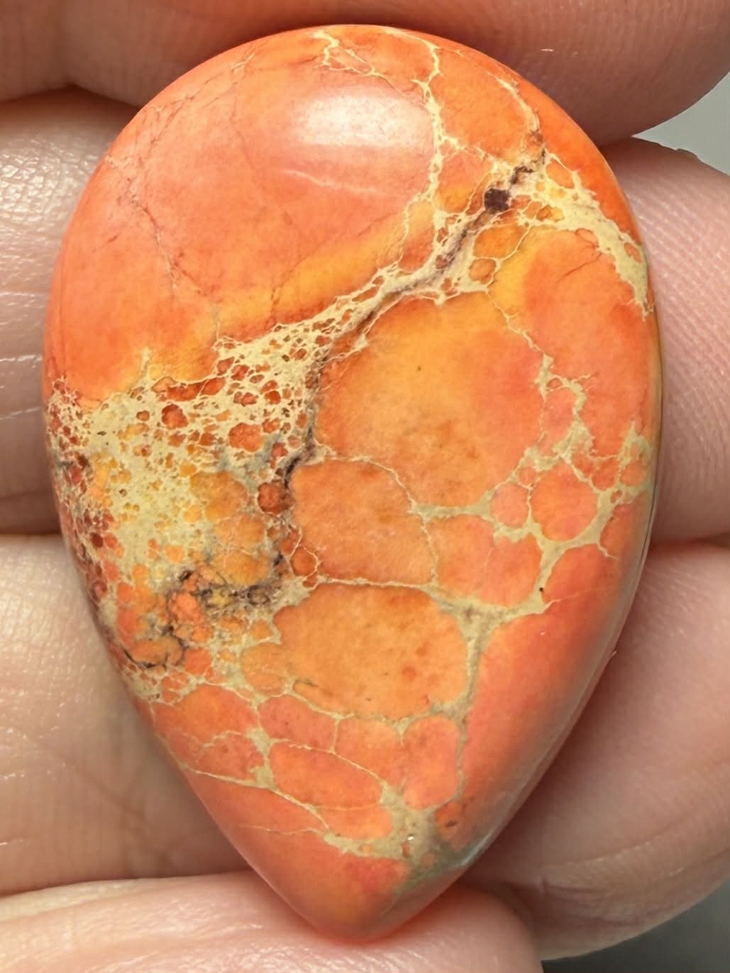 Teardrop 30x20mm Sea Sediment Jasper Cabochon 113