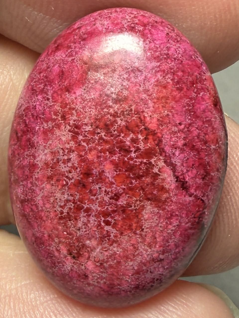 Oval 25x18mm Sea Sediment Jasper Cabochon 114