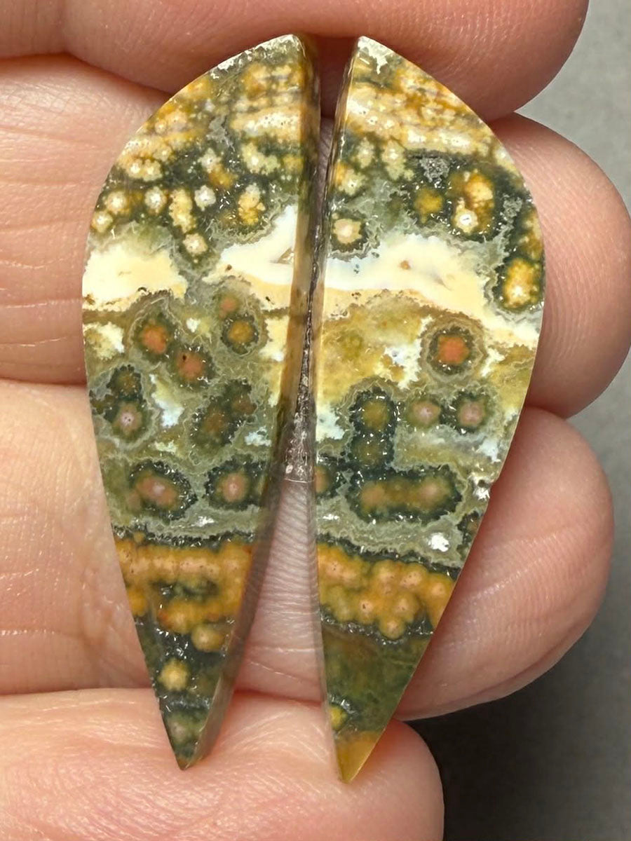 Freeform 33x10mm Ocean Jasper Cabochon Pair 19