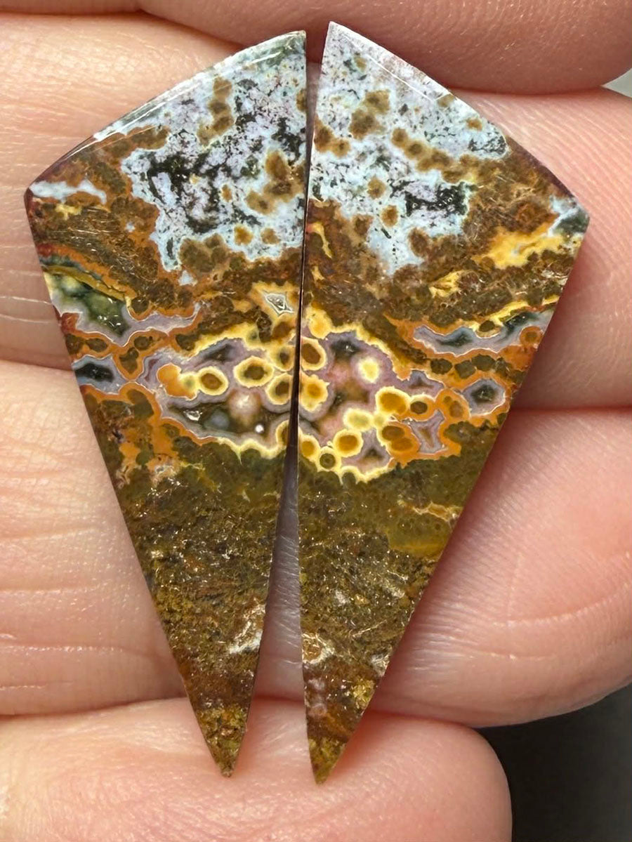 Freeform 31x12mm Ocean Jasper Cabochon Pair 24