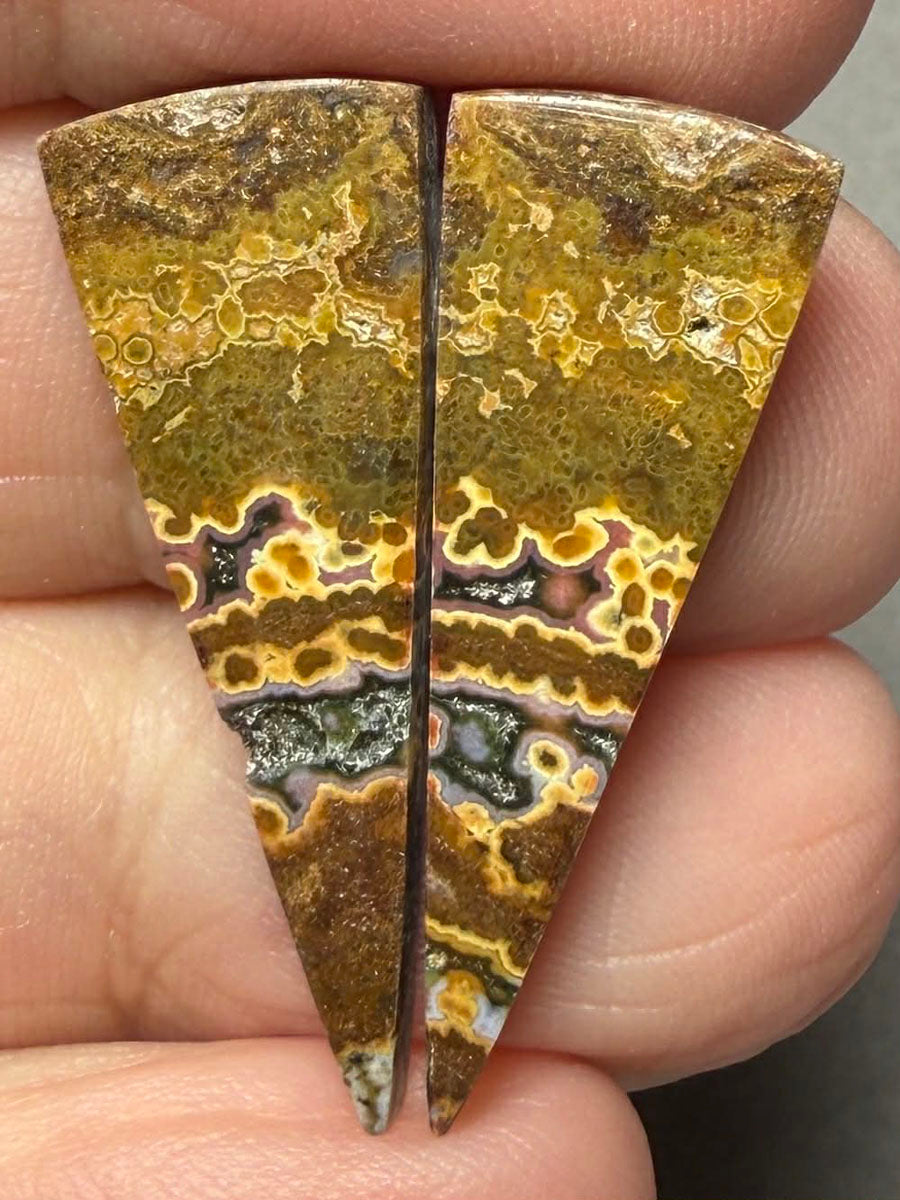 Freeform 30x11mm Ocean Jasper Cabochon Pair 26