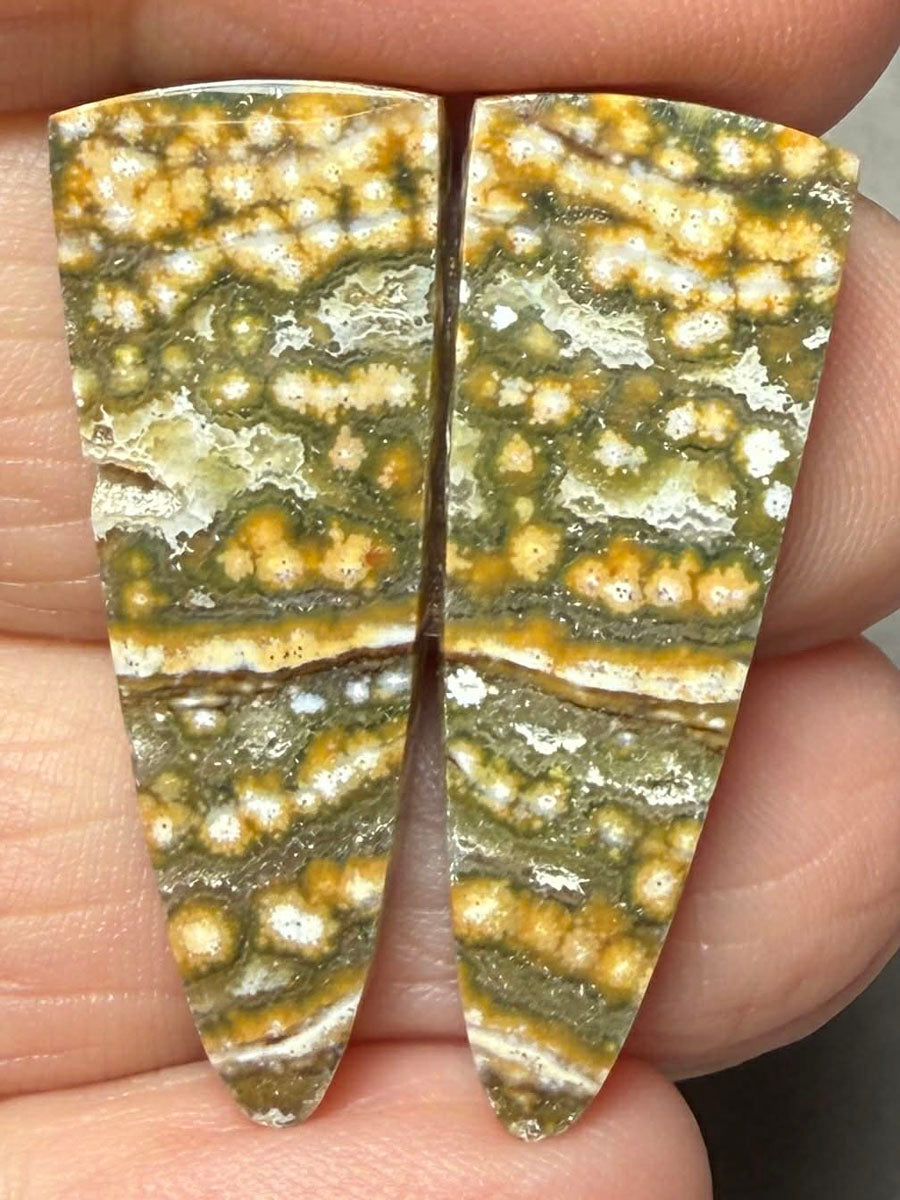 Freeform 32x12mm Ocean Jasper Cabochon Pair 29