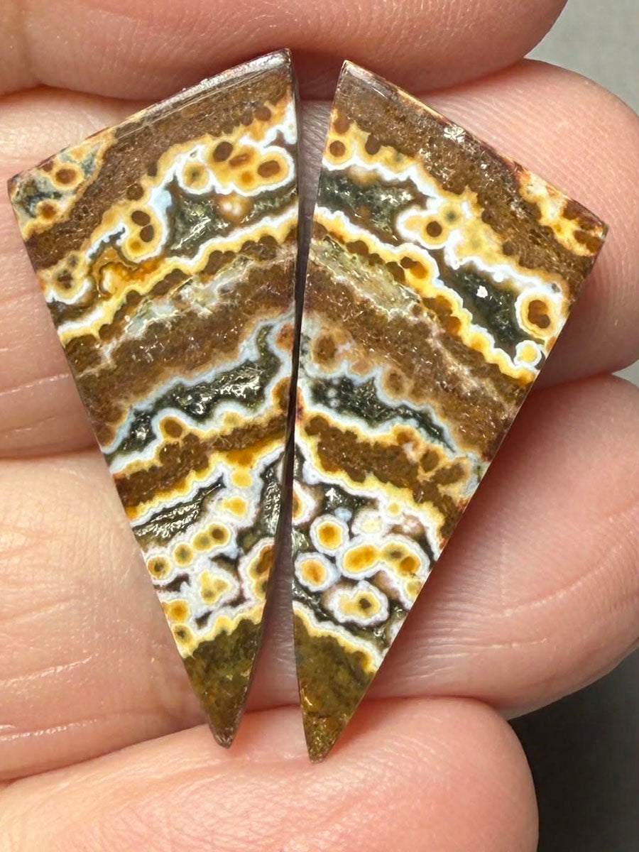 Freeform 28x12mm Ocean Jasper Cabochon Pair 30