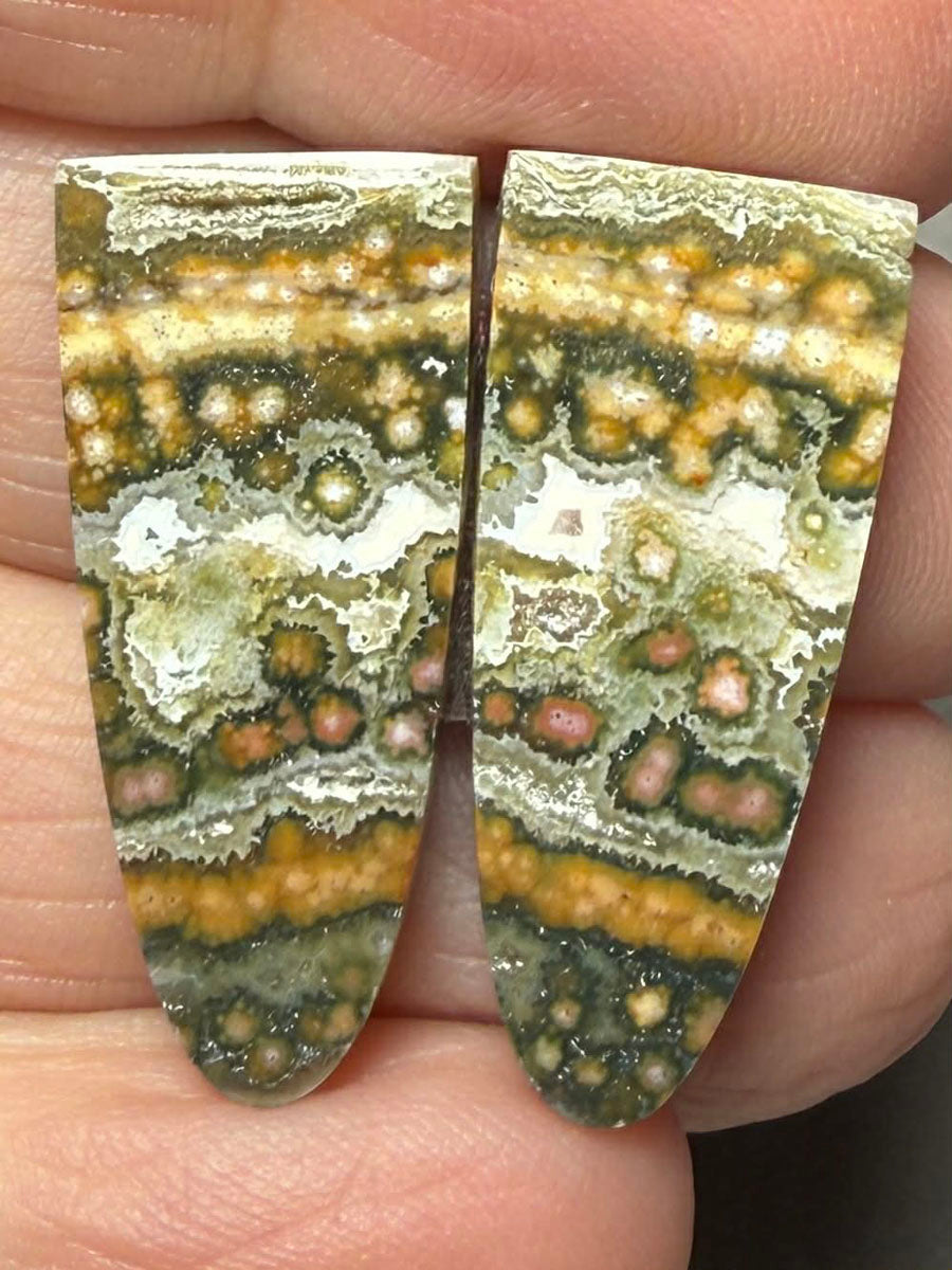 Freeform 28x12mm Ocean Jasper Cabochon Pair 33