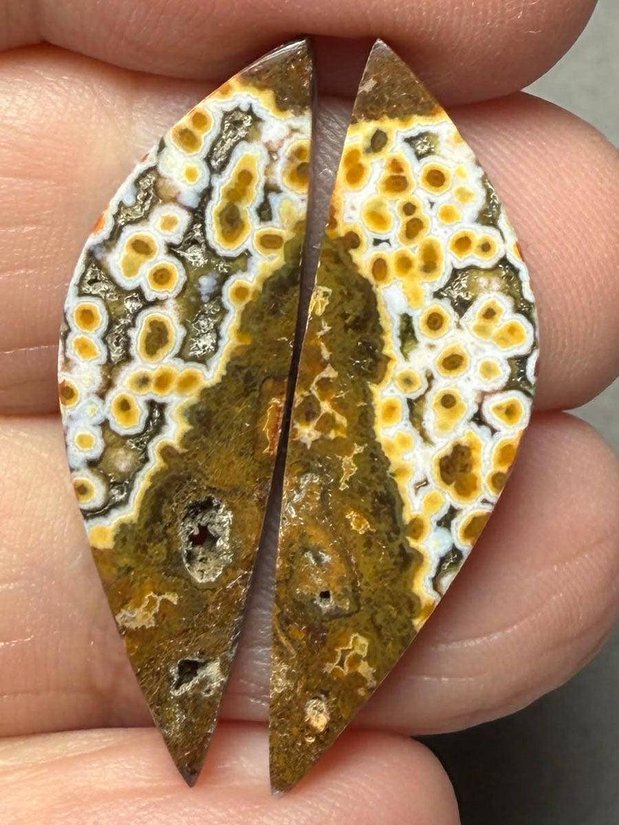 Freeform 32x10mm Ocean Jasper Cabochon Pair 35