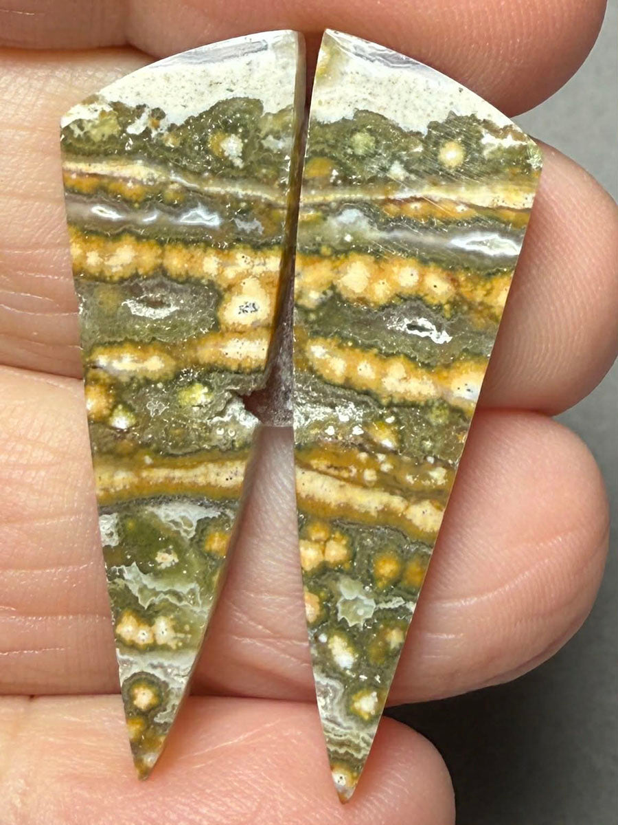 Freeform 36x12mm Ocean Jasper Cabochon Pair 36