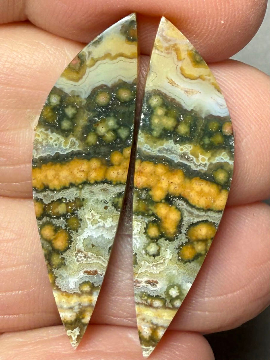 Freeform 33x9mm Ocean Jasper Cabochon Pair 45