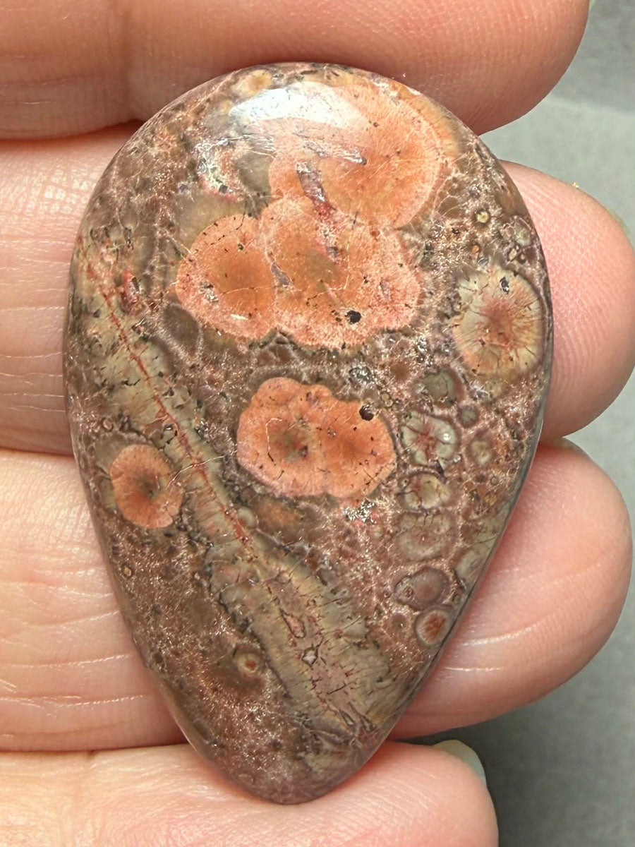 Teardrop 39x25mm Poppy Jasper Cabochon 25