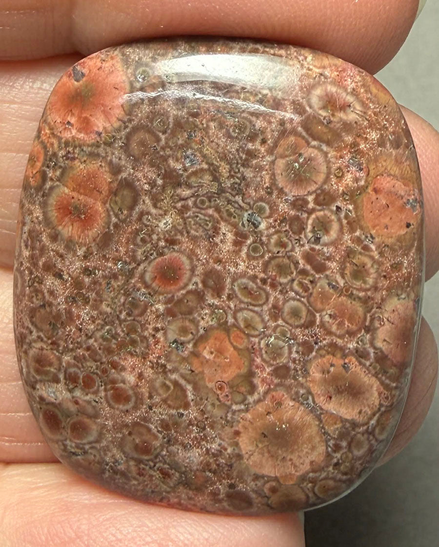 Rectangle 33x28mm Poppy Jasper Cabochon 26