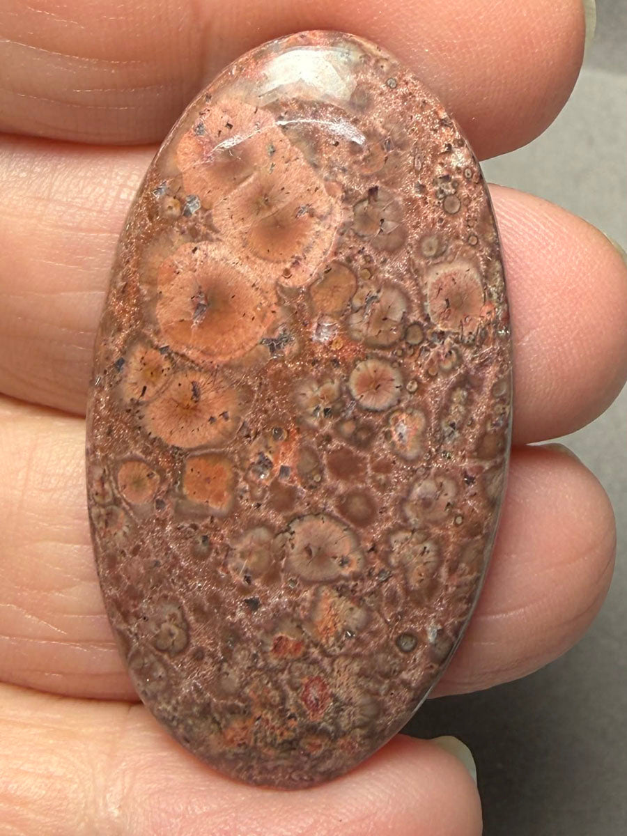 Oval 45x25mm Poppy Jasper Cabochon 27