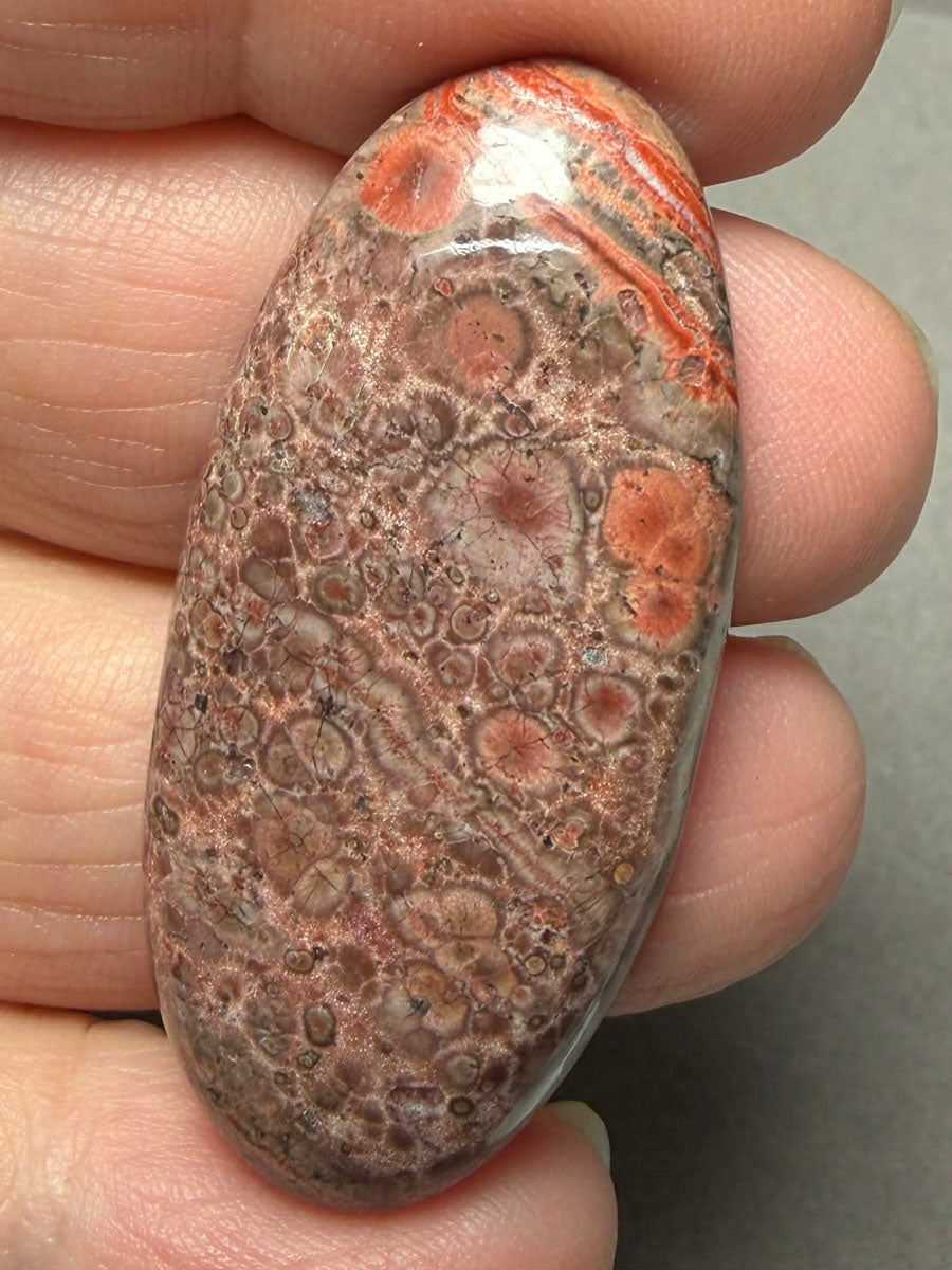 Oval 44x20mm Poppy Jasper Cabochon 32