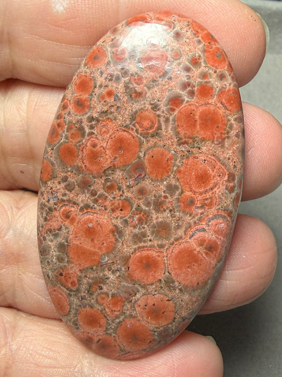 Oval 54x30mm Poppy Jasper Cabochon 35