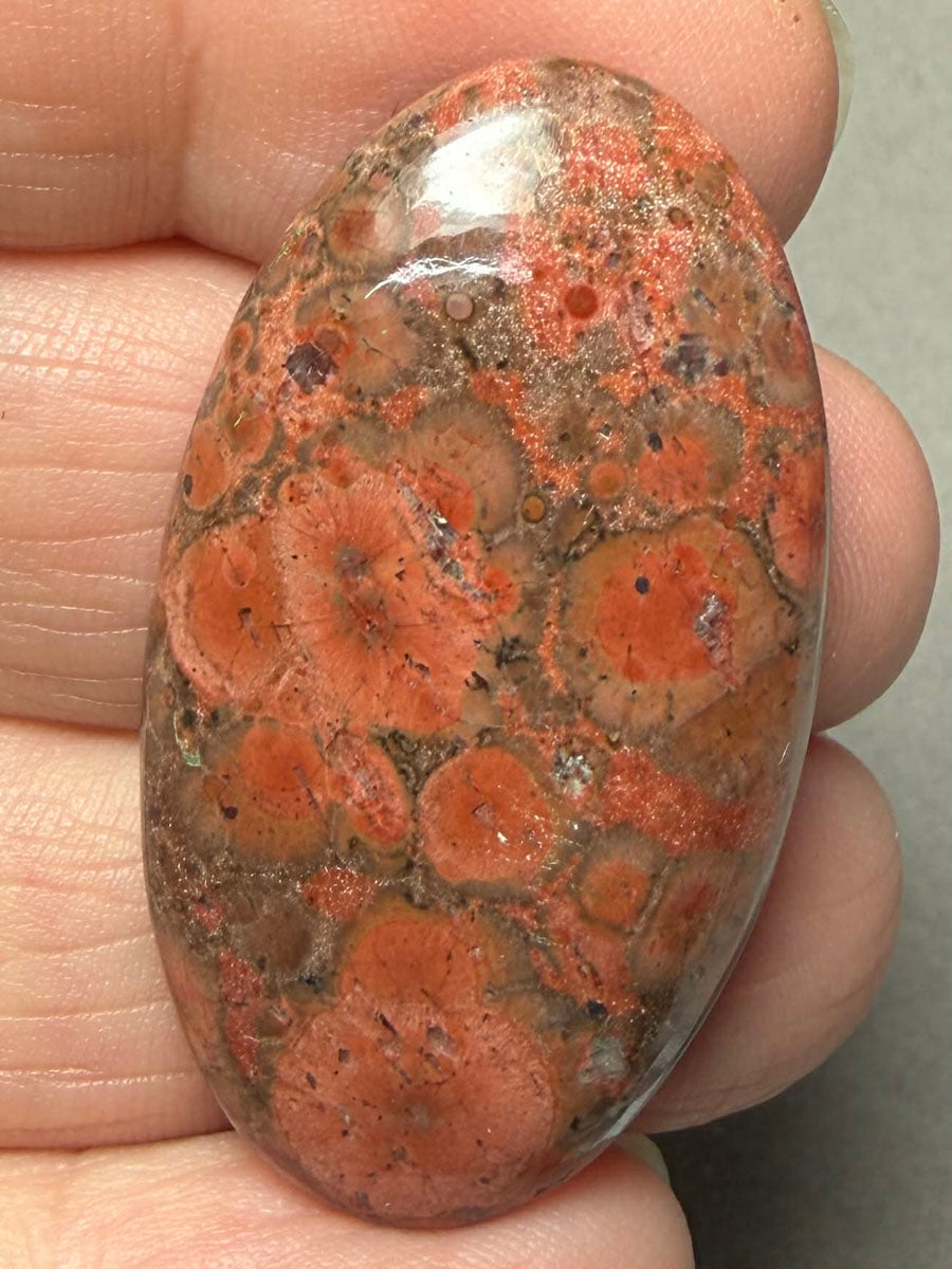 Oval 40x23mm Poppy Jasper Cabochon 38