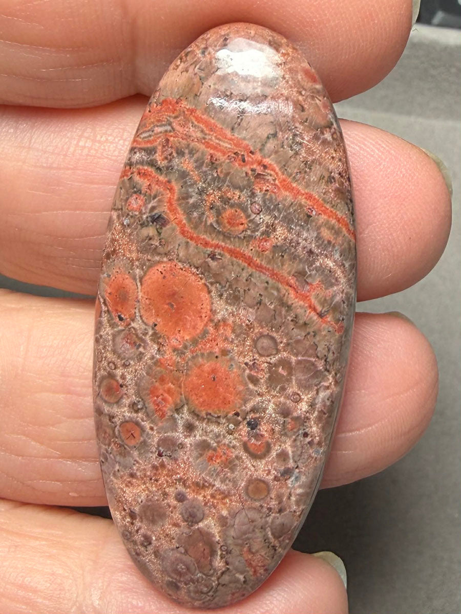 Oval 49x21mm Poppy Jasper Cabochon 40