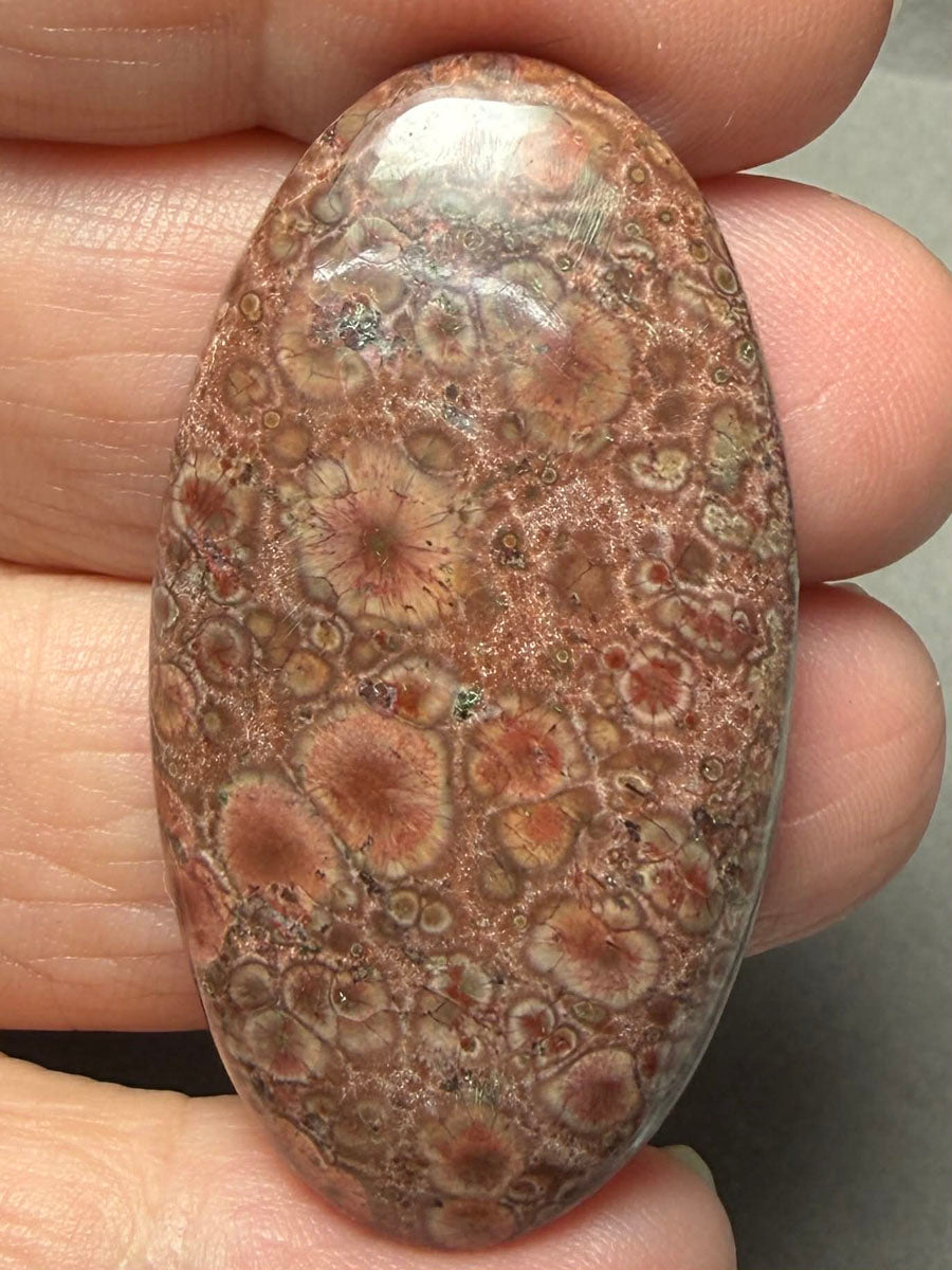 Oval 44x24mm Poppy Jasper Cabochon 41