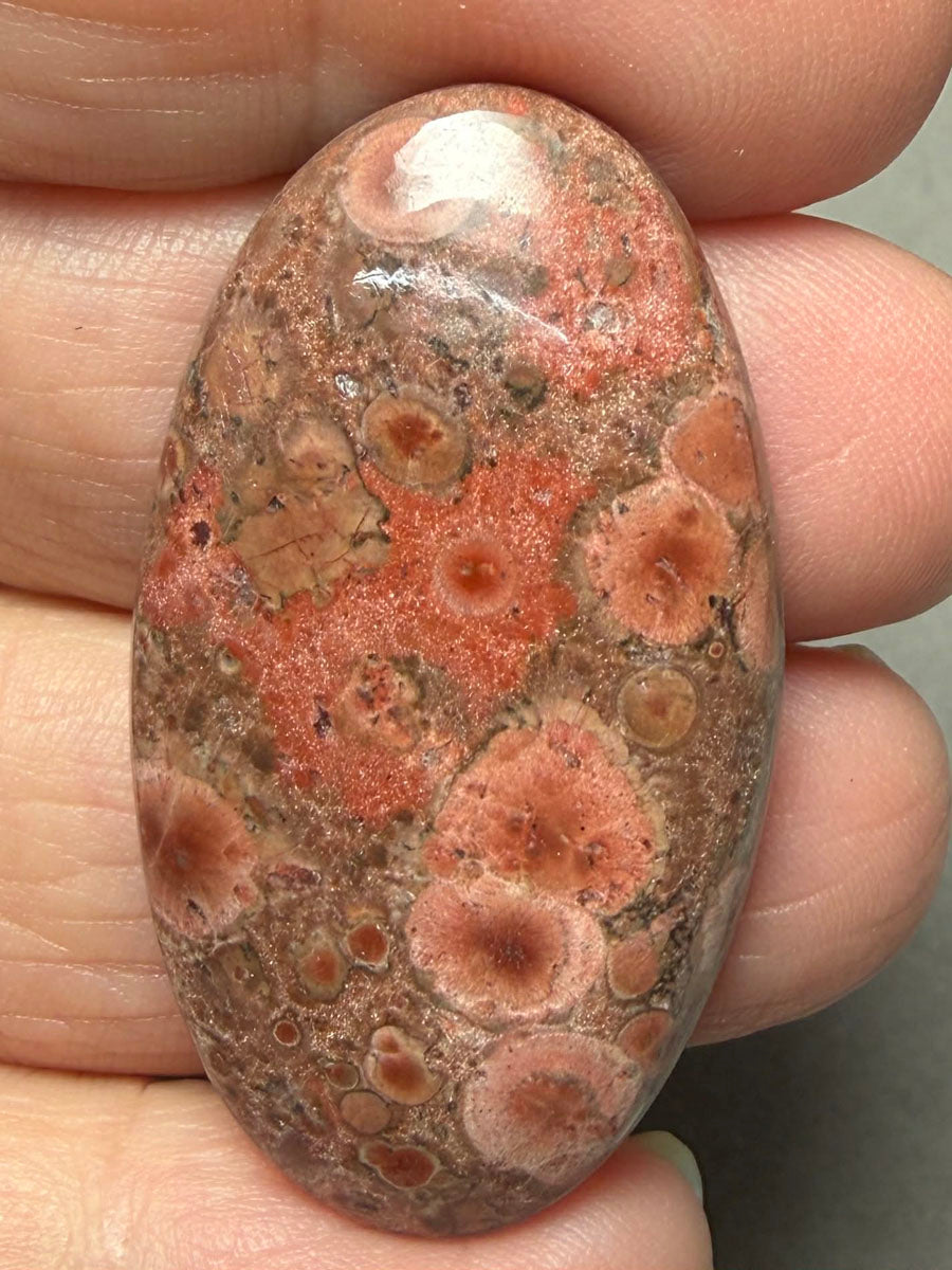 Oval 41x23mm Poppy Jasper Cabochon 47