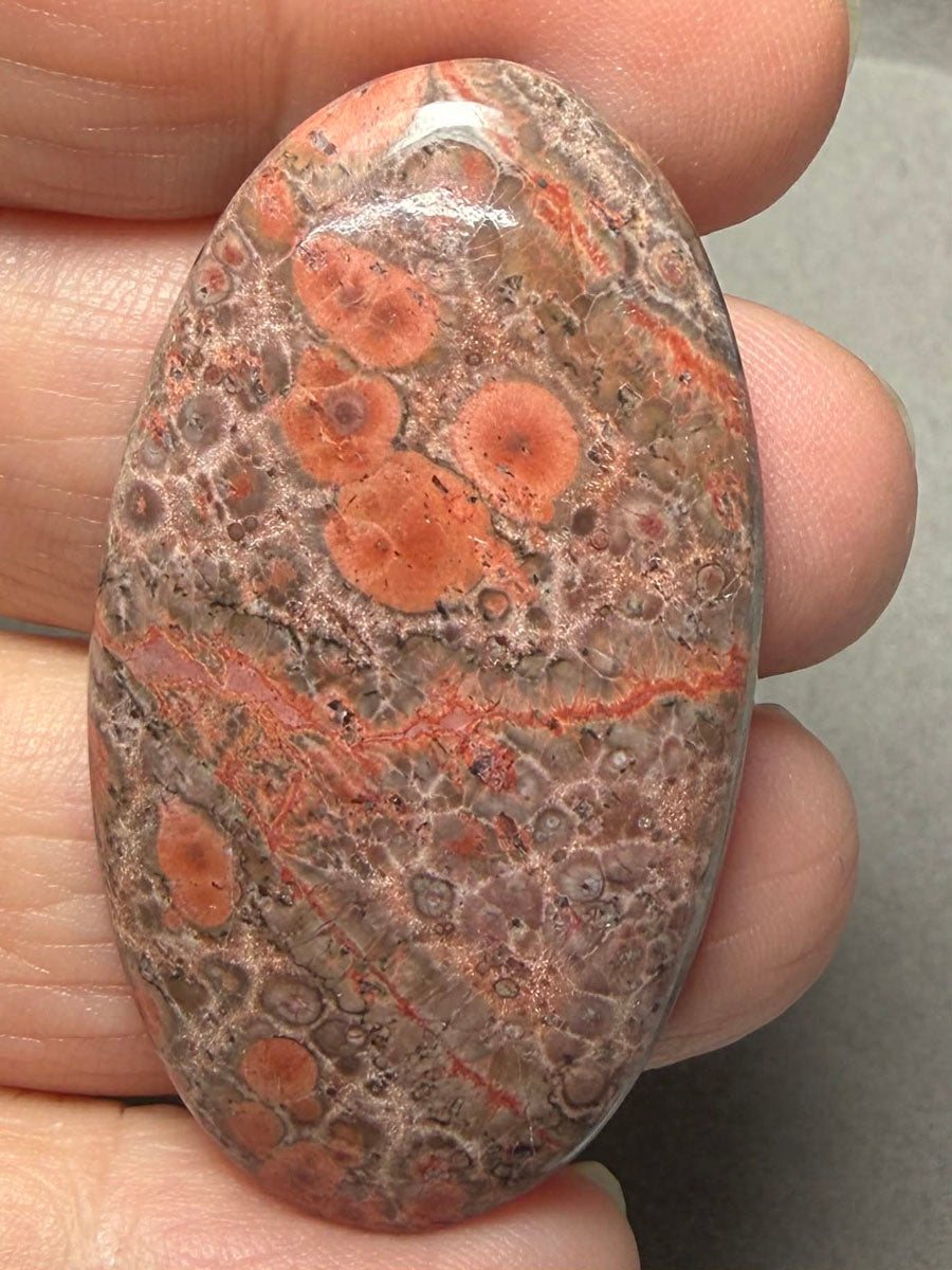 Oval 47x26mm Poppy Jasper Cabochon 57