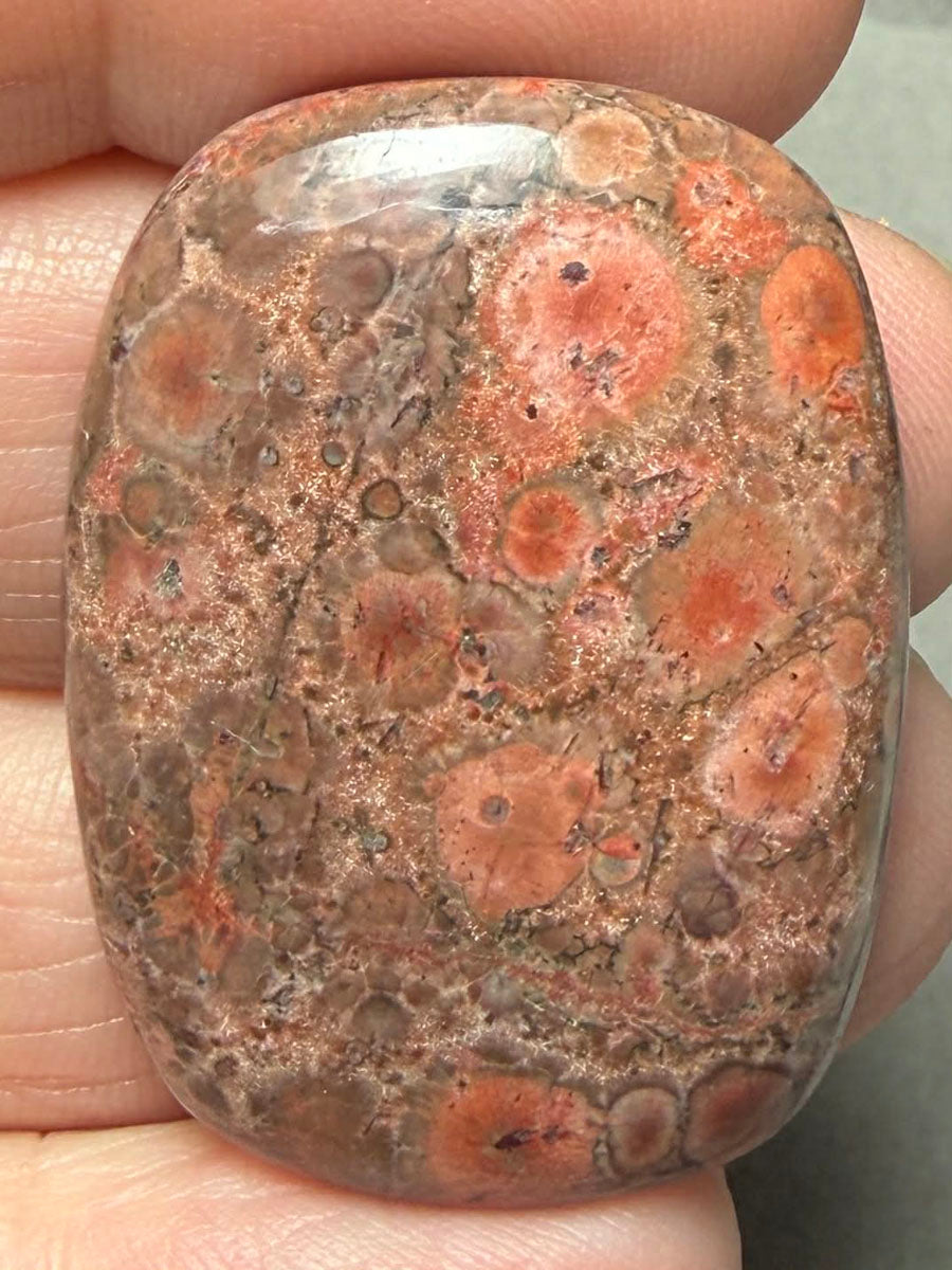 Rectangle 35x26mm Poppy Jasper Cabochon 58