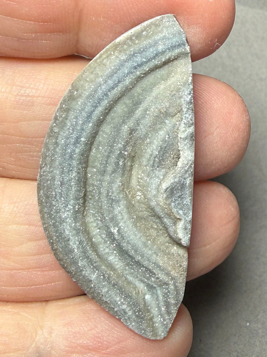 Freeform 45x21mm Druzy Desert Chalcedony Cabochon 10