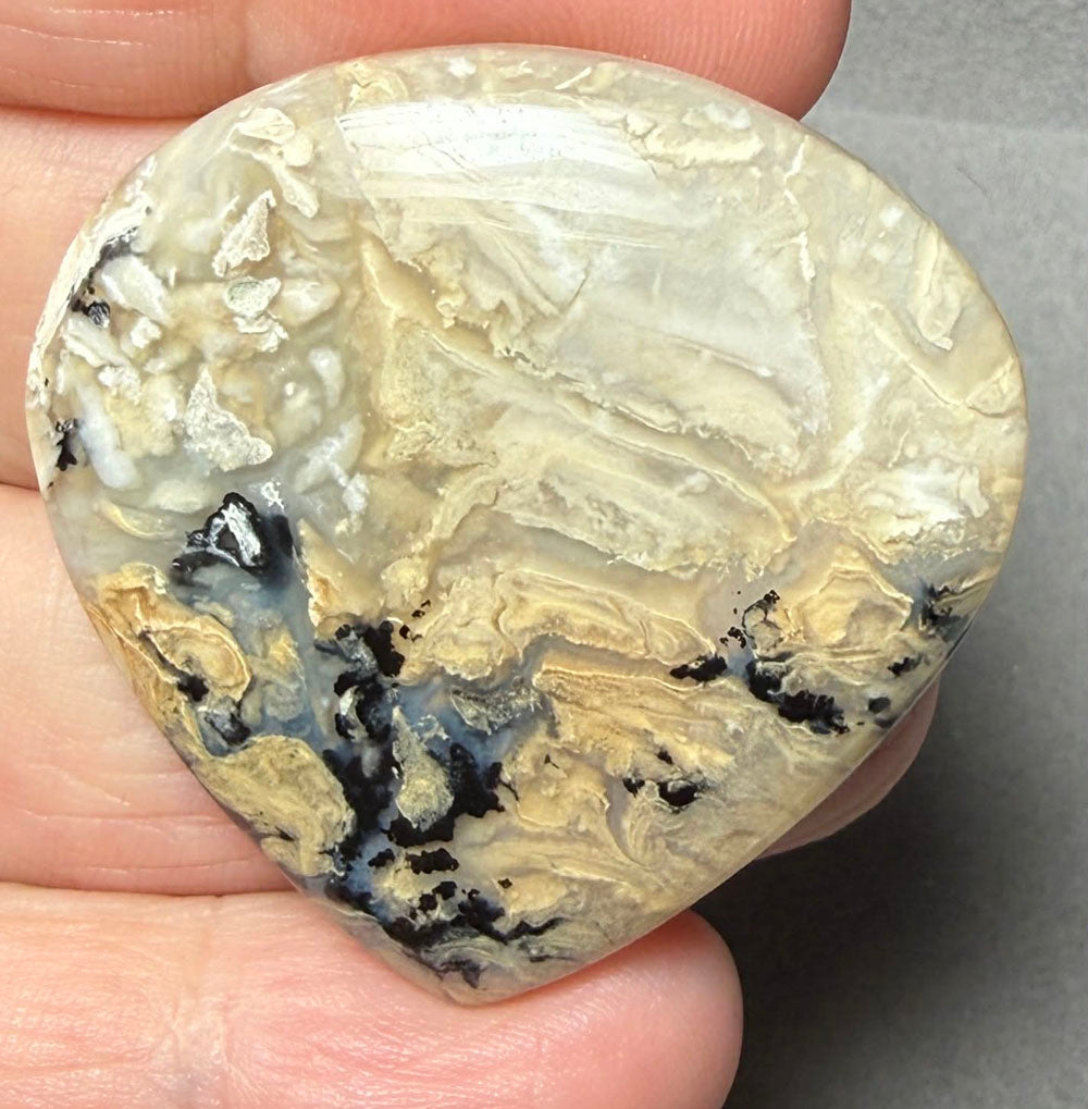 Teardrop 39x39mm Dendritic Tiger Agate Cabochon 46