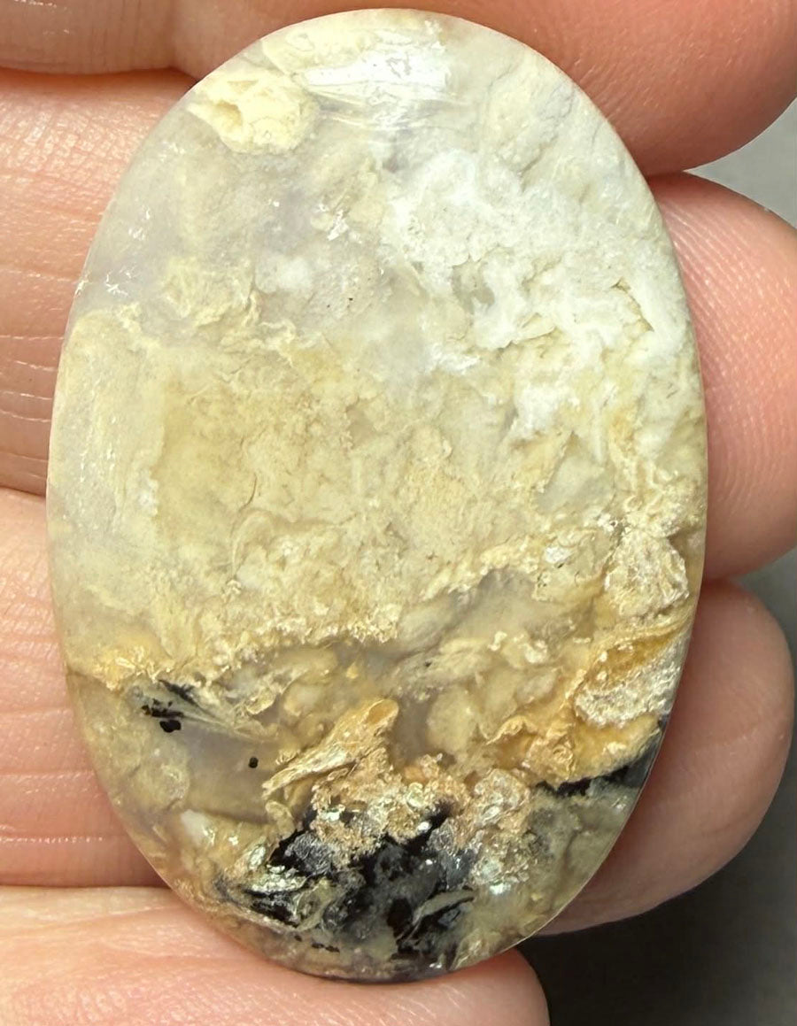 Oval 35x23mm Dendritic Tiger Agate Cabochon 48