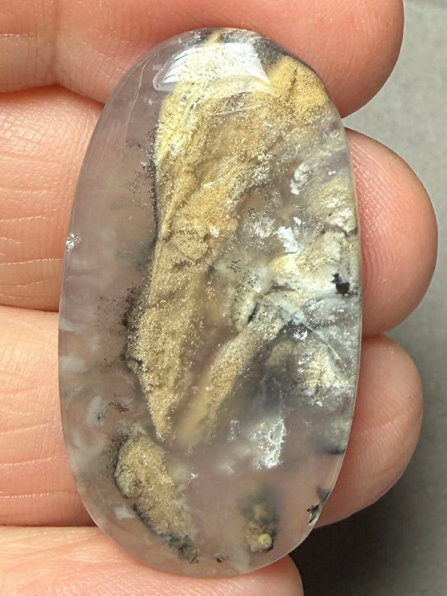 Oval 38x20mm Dendritic Tiger Agate Cabochon 49