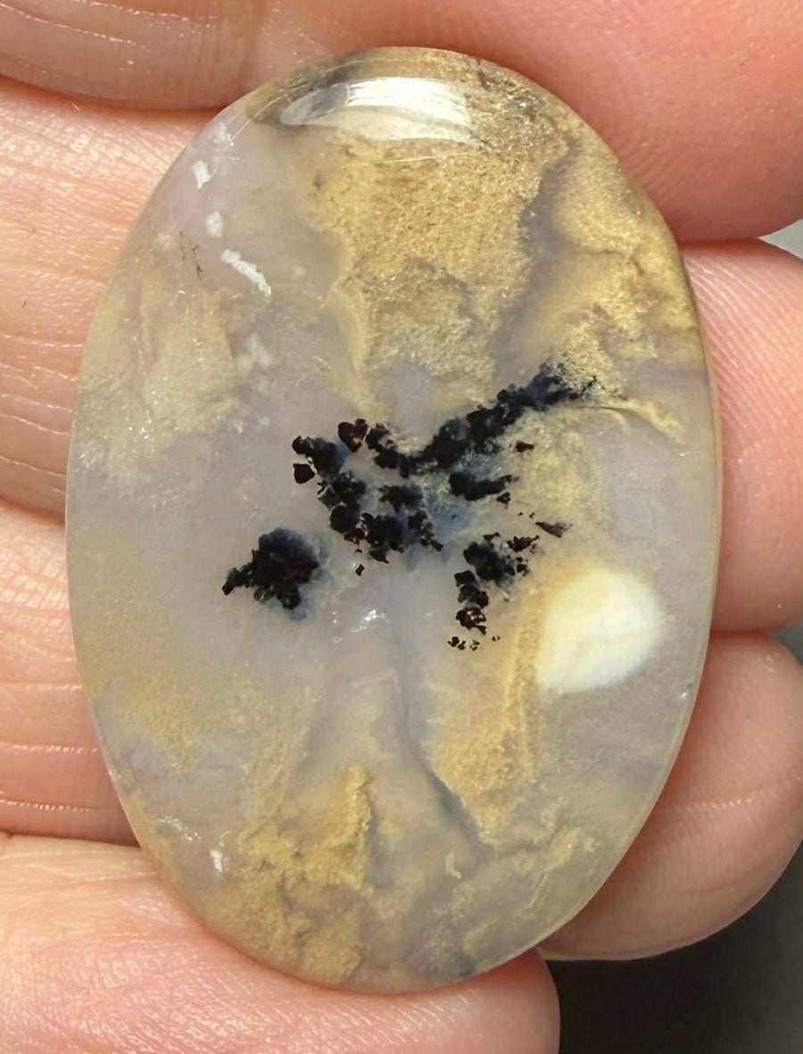 Oval 35x23mm Dendritic Tiger Agate Cabochon 59