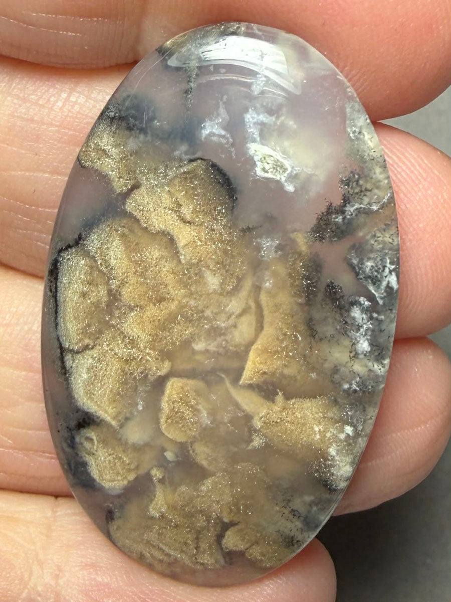 Oval 41x24mm Dendritic Tiger Agate Cabochon 61