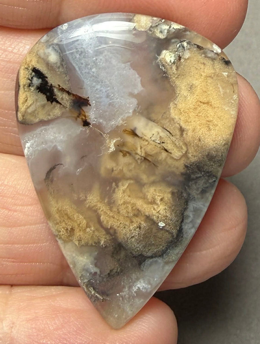 Teardrop 39x27mm Dendritic Tiger Agate Cabochon 64