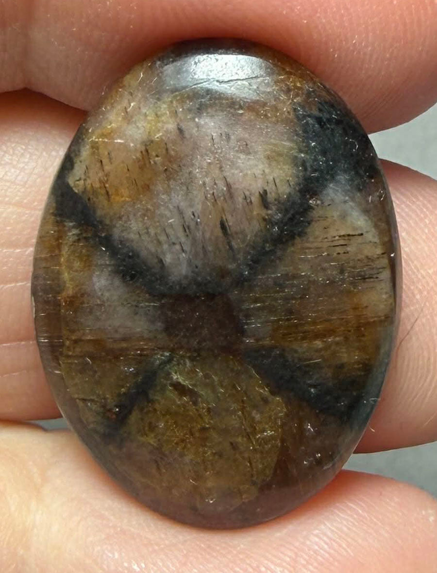 Oval 26x19mm Chiastolite Cabochon 17