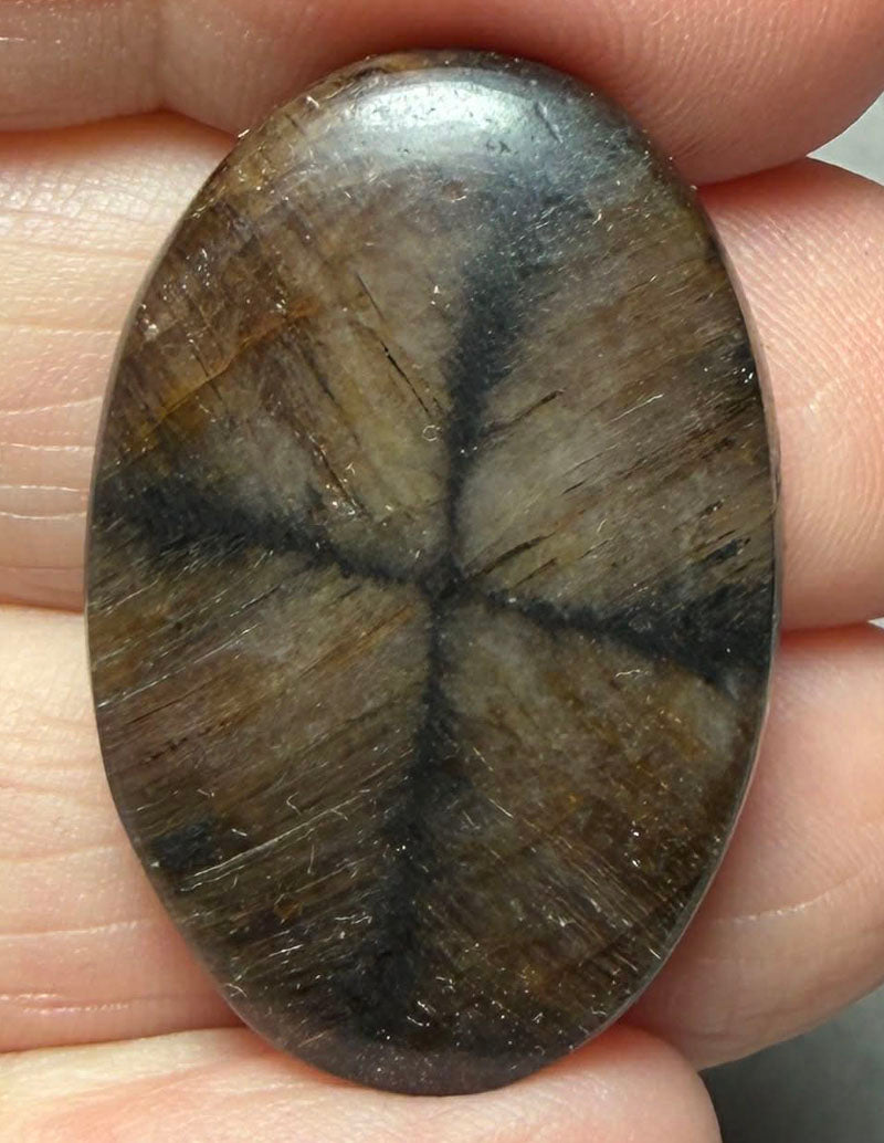 Oval 32x21mm Chiastolite Cabochon 18