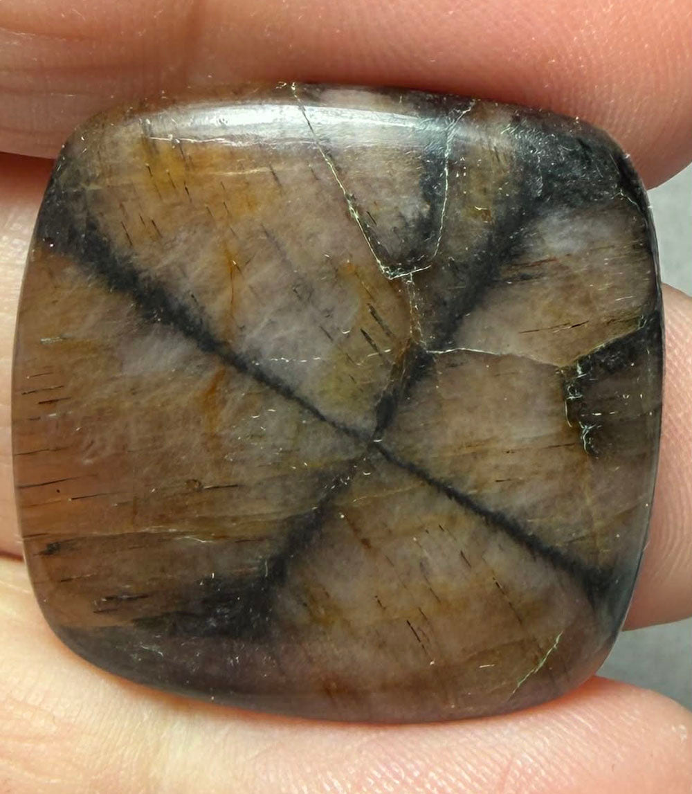 Square 27x27mm Chiastolite Cabochon 21