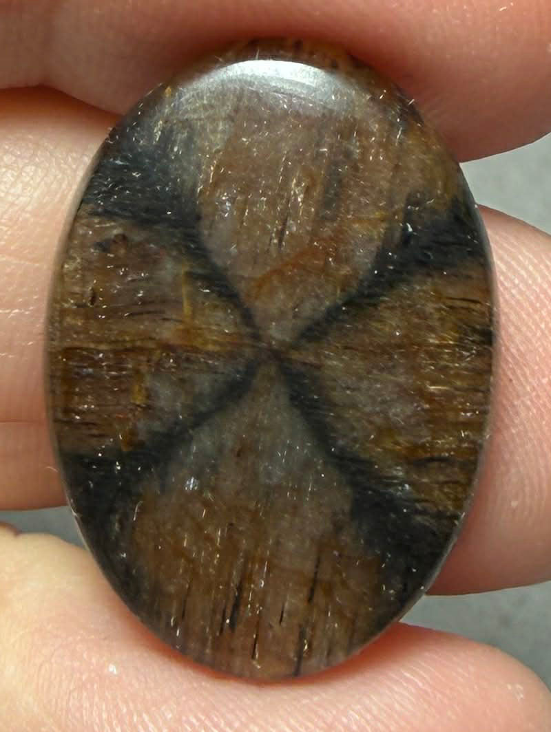 Oval 25x18mm Chiastolite Cabochon 23