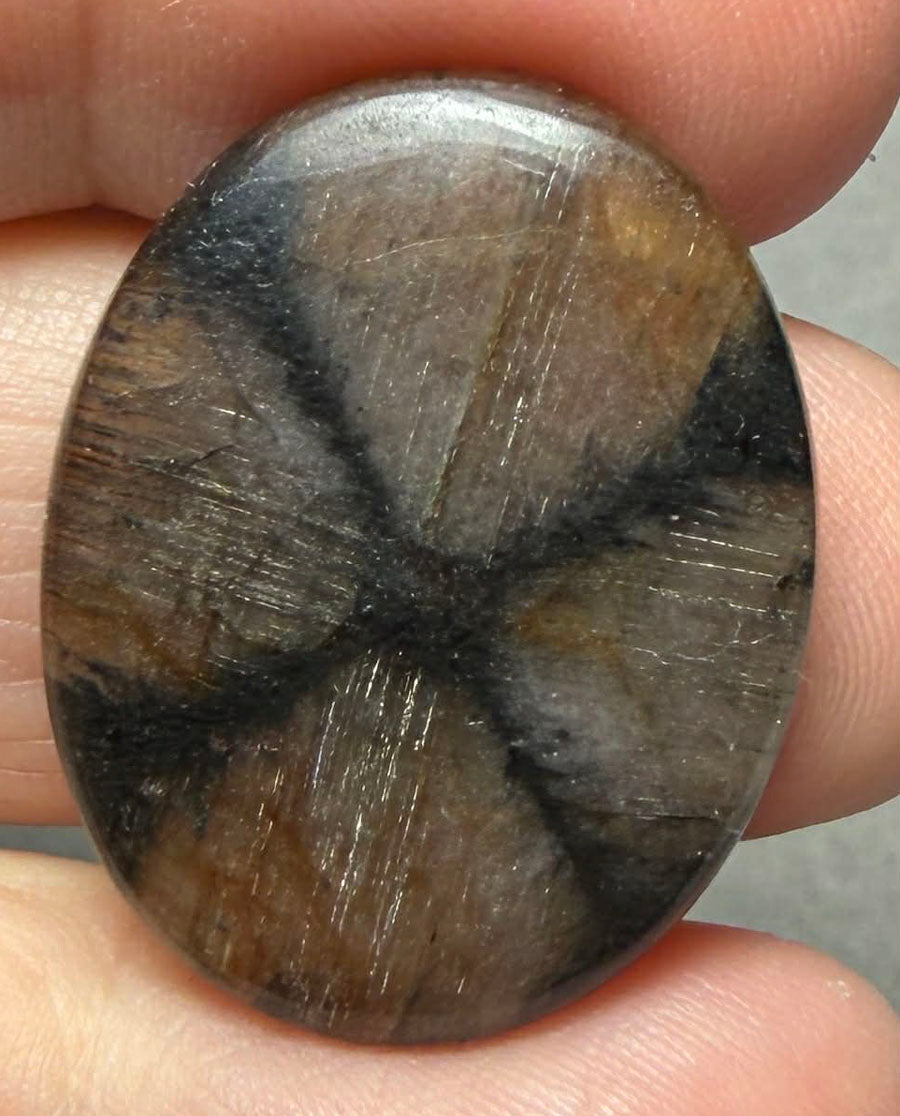 Oval 28x22mm Chiastolite Cabochon 31