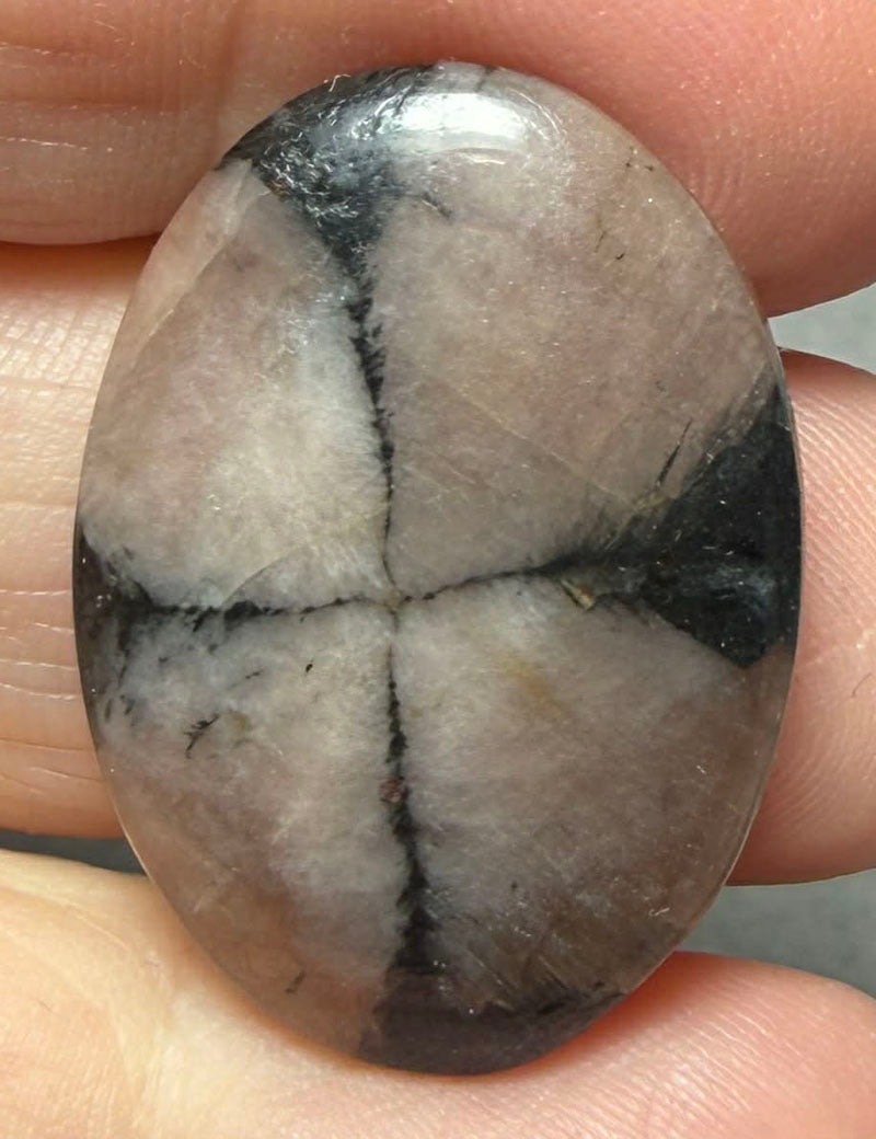 Oval 25x18mm Chiastolite Cabochon 35