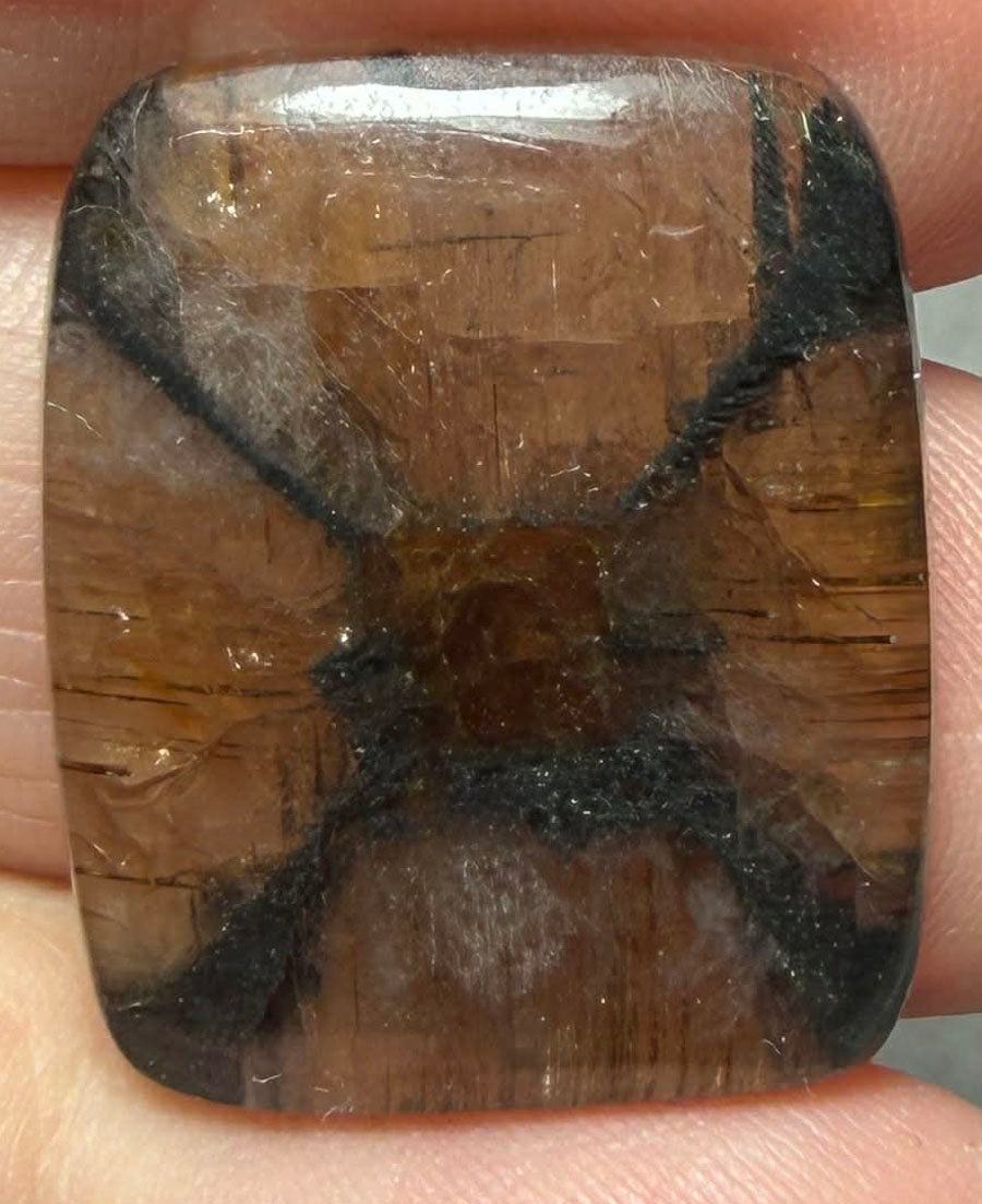 Rectangle 25x21mm Chiastolite Cabochon 43