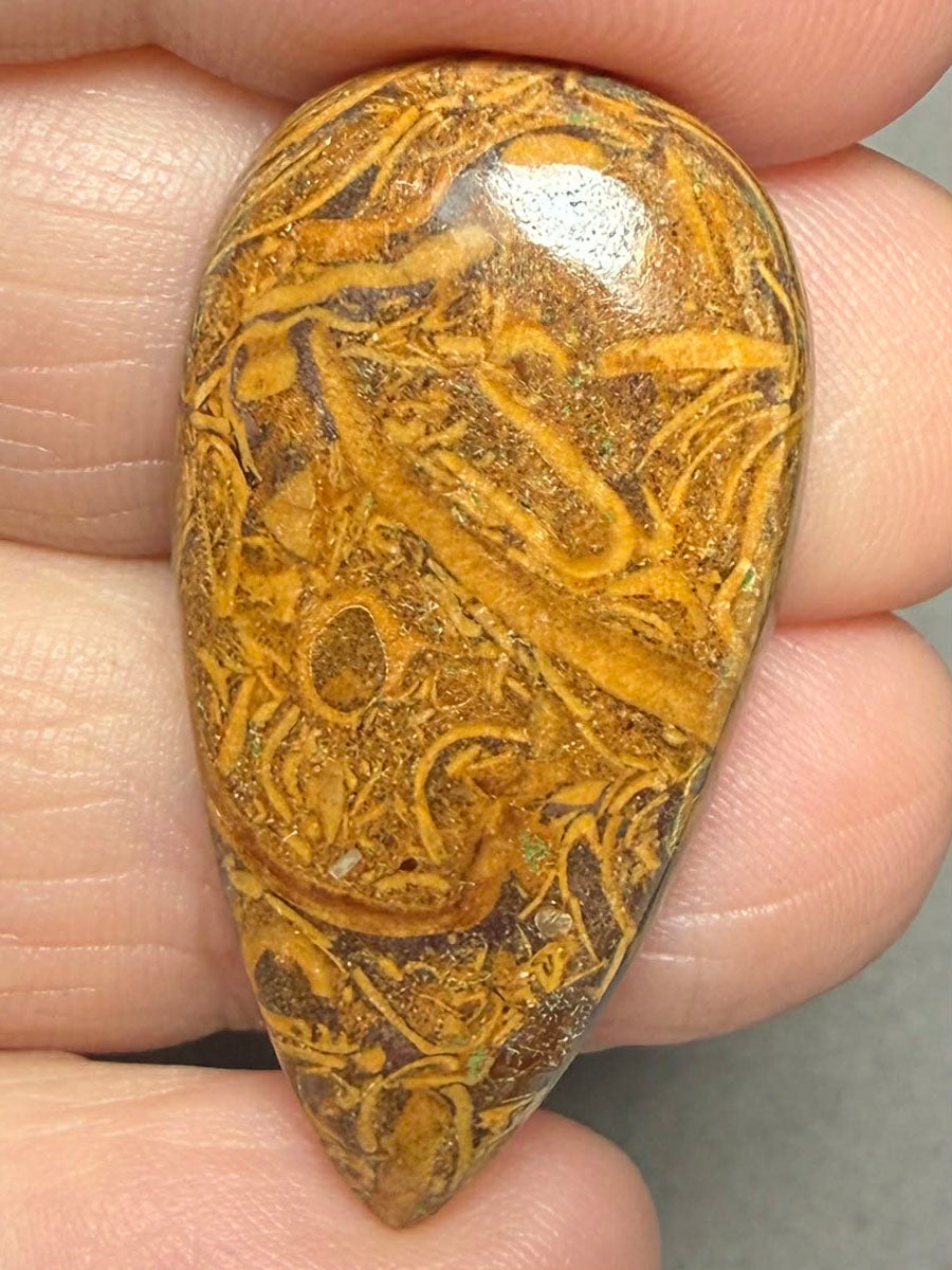Teardrop 35x18mm Mariam Jasper Cabochon 41