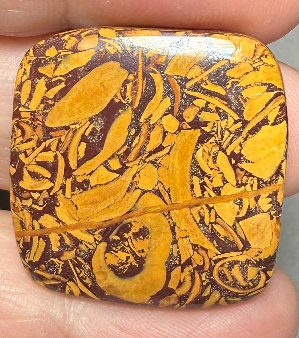 Rectangle 28x27mm Mariam Jasper Cabochon 44