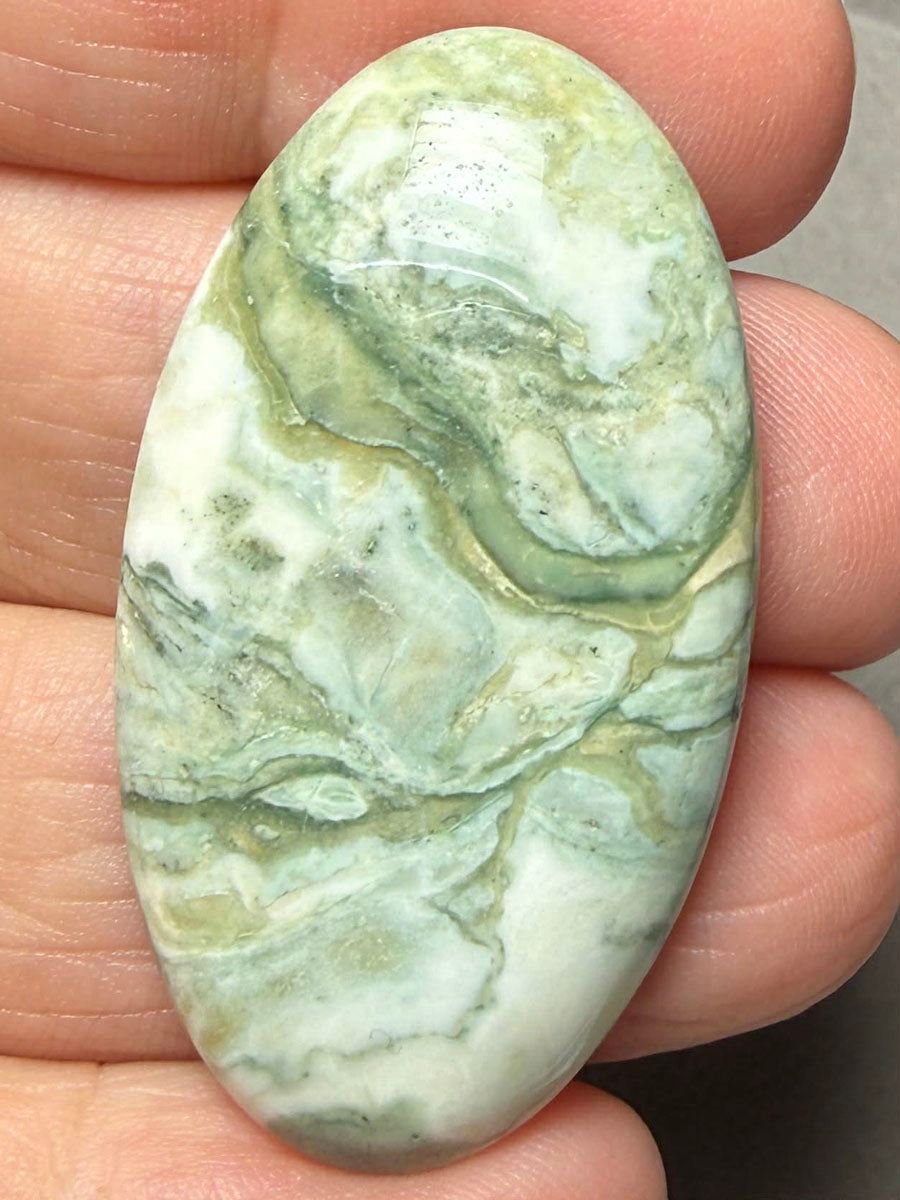 Oval 43x24mm Green Lace Jasper Cabochon 28