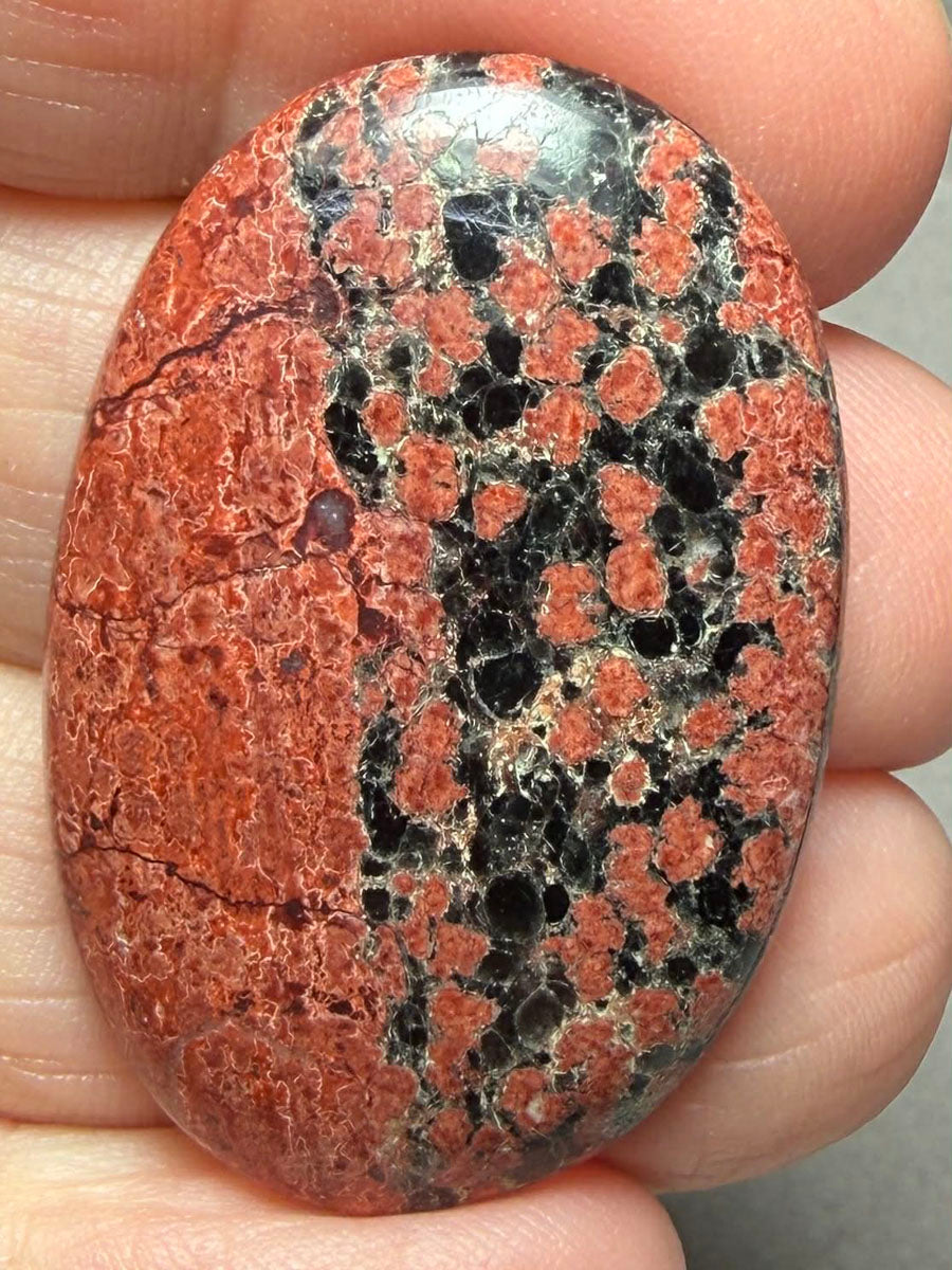 Oval 37x25mm Mexican Flower Obsidian Cabochon 32