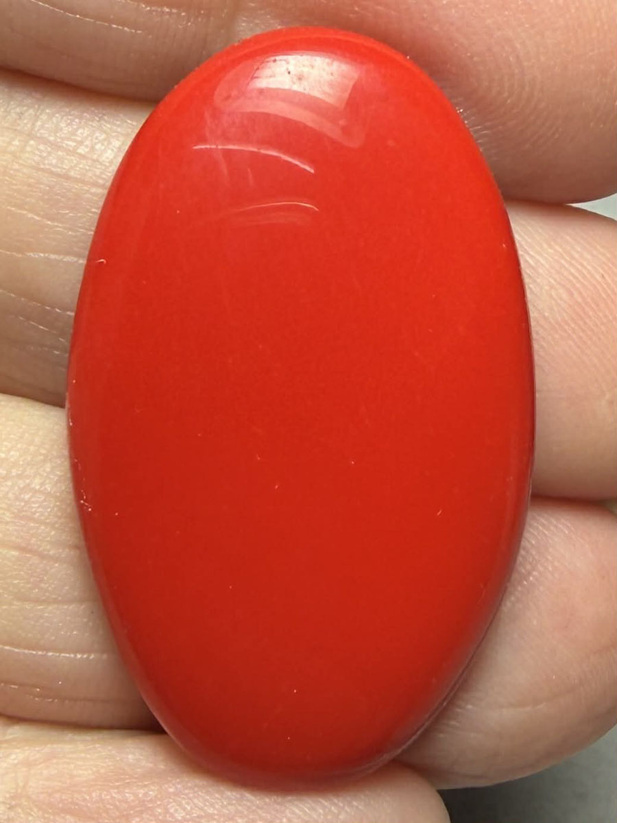 Oval 35x22mm Red Coral Cabochon 04